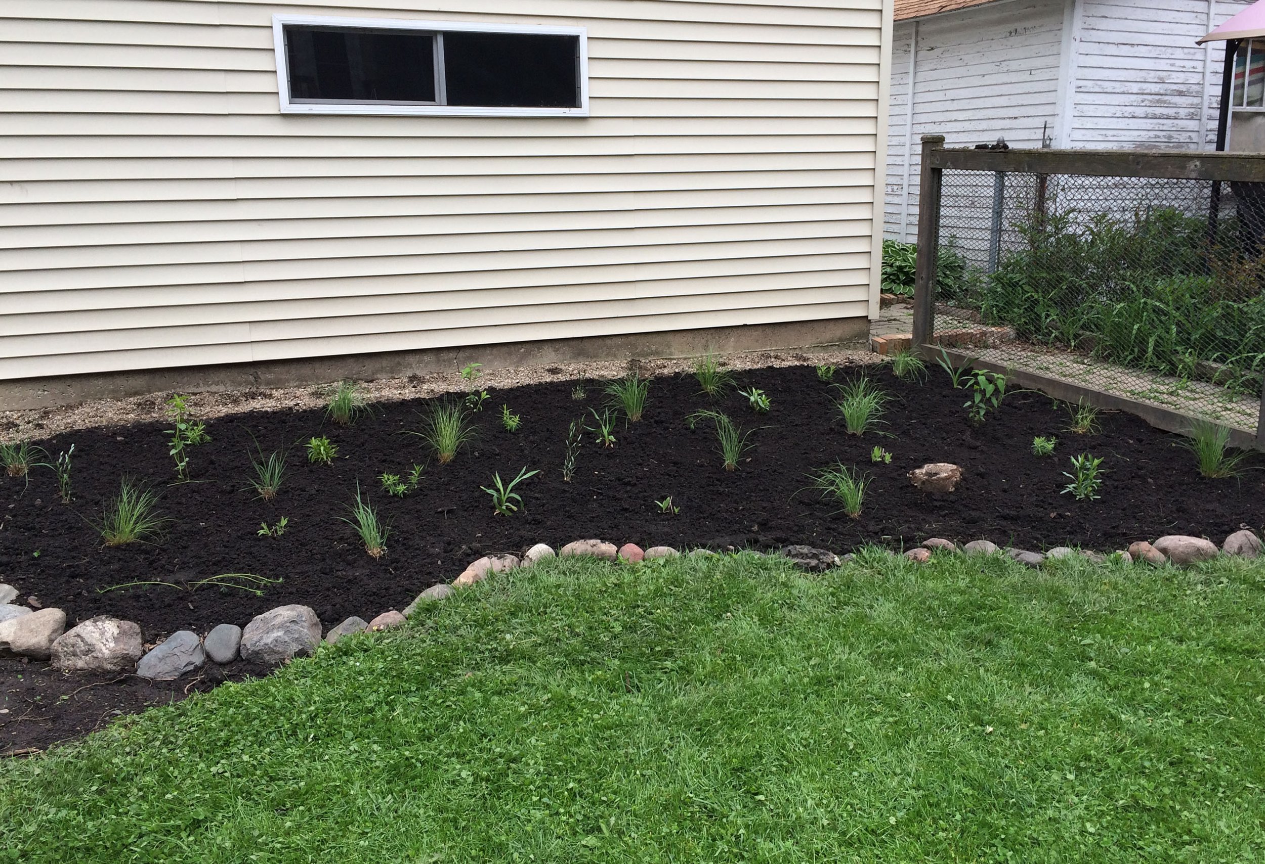 newly planted prairie plants in new soil in front of a garage