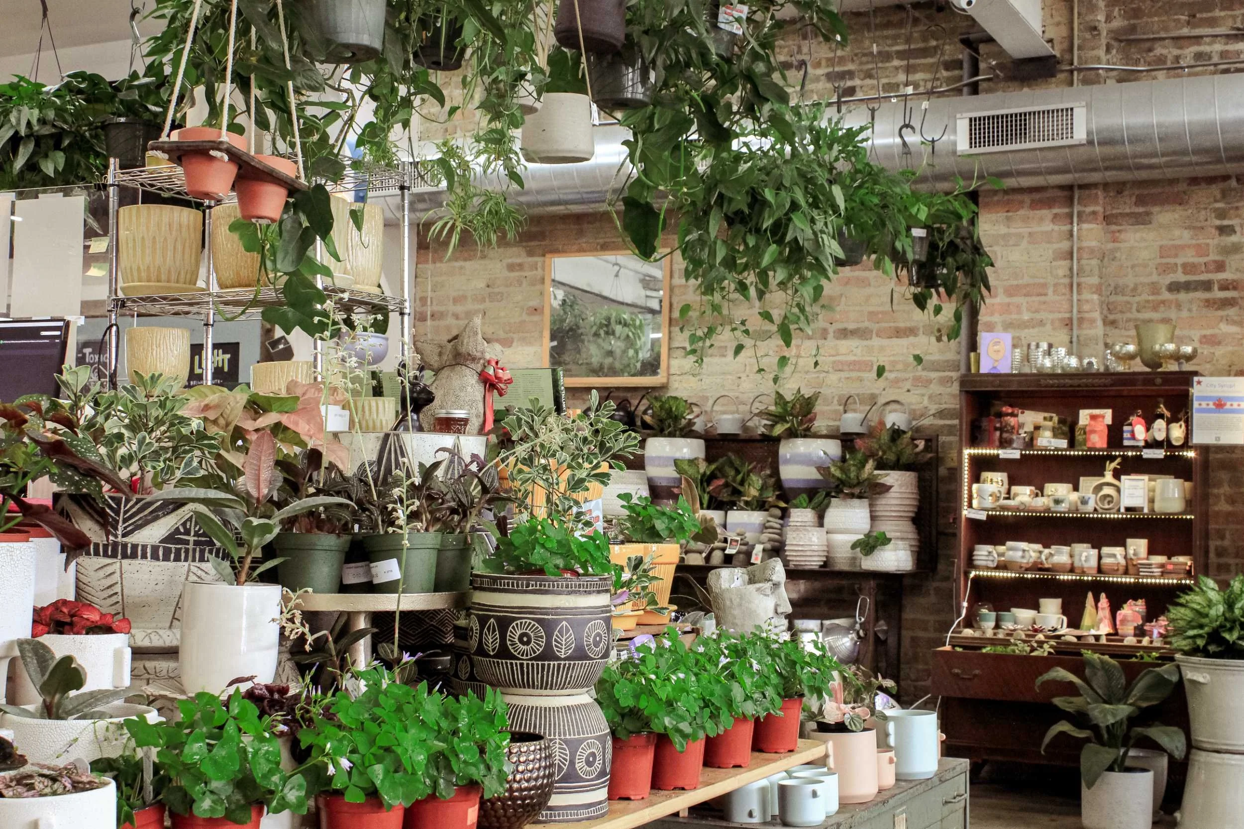 Indoor plant shop with various potted plants and succulents displayed on shelves and tables inside tallgrass garden formerly christy webber farm & garden