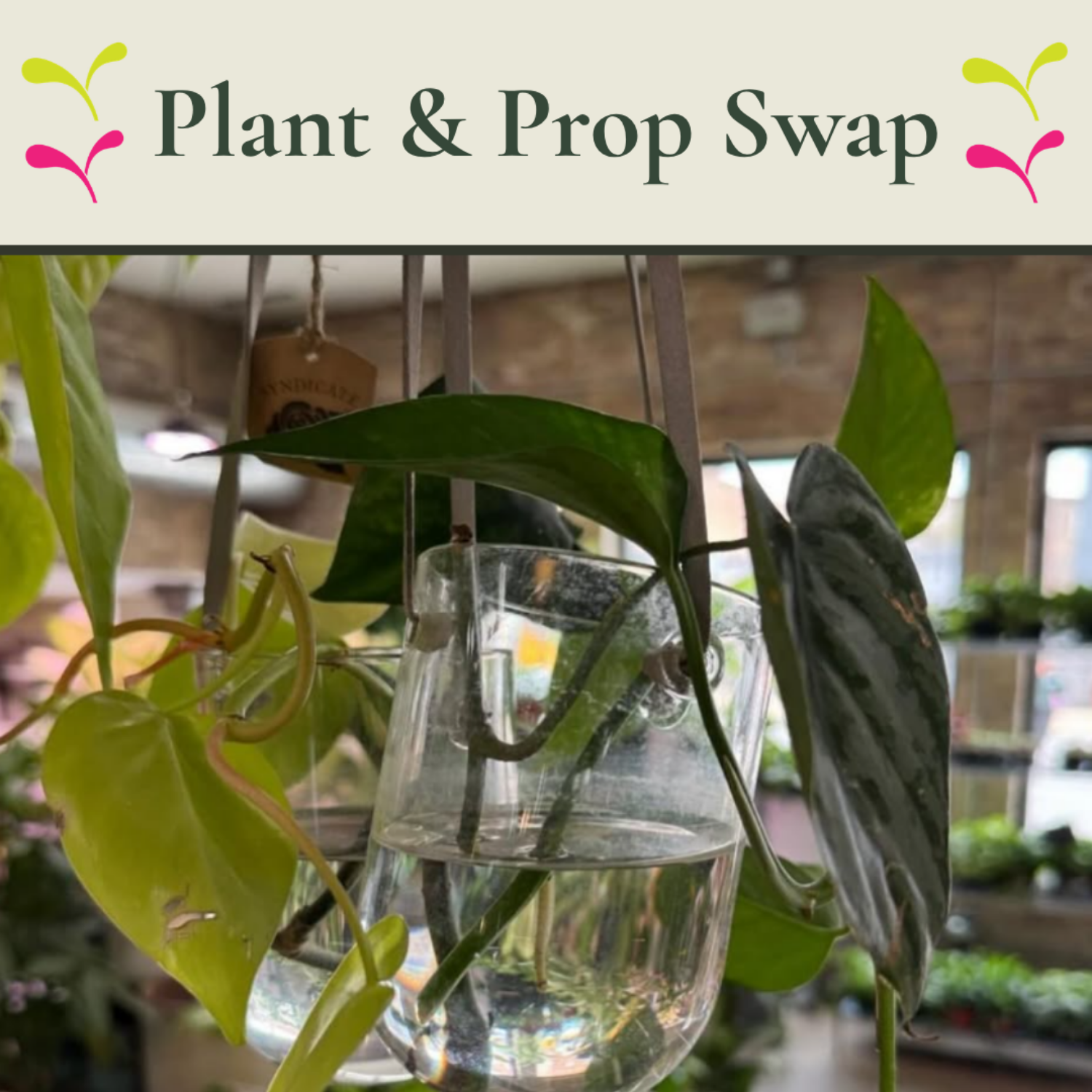 Plant &amp; Prop Swap
