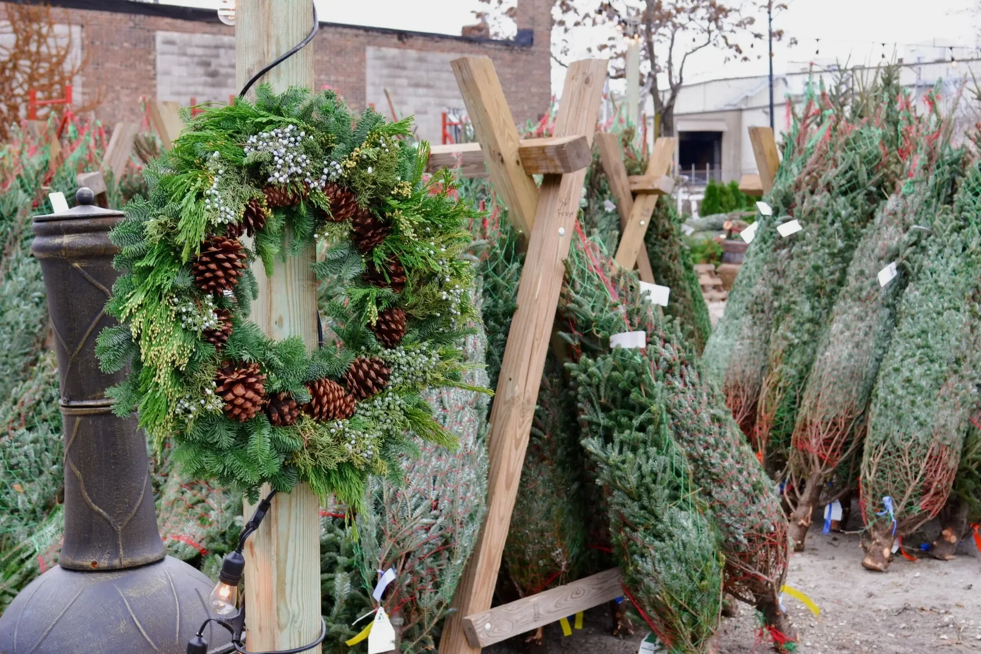 christmas trees and wreaths at tallgrass garden formerly christy webber farm & garden