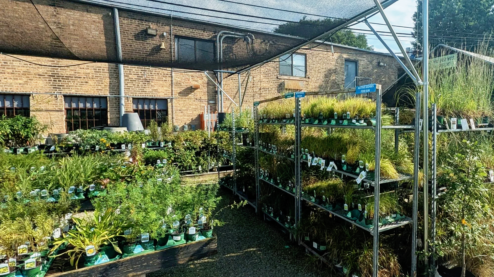 tallgrass garden formerly christy webber farm & garden with plants on shelves and racks, brick building in the background