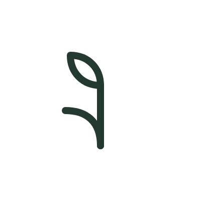 A simple line drawing of a sprouting plant with two leaves.