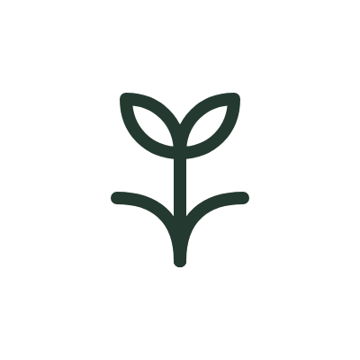 Simple line drawing of a small plant with two leaves.