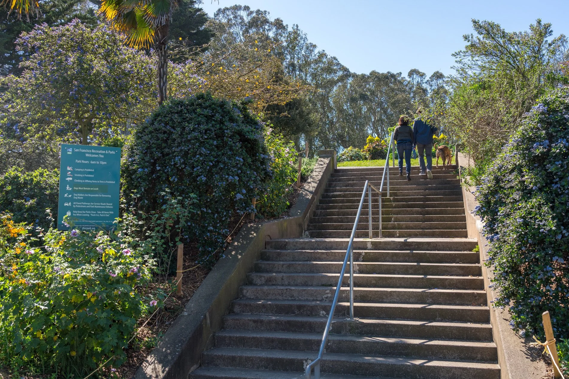 Bernal Heights MLS-56.jpg