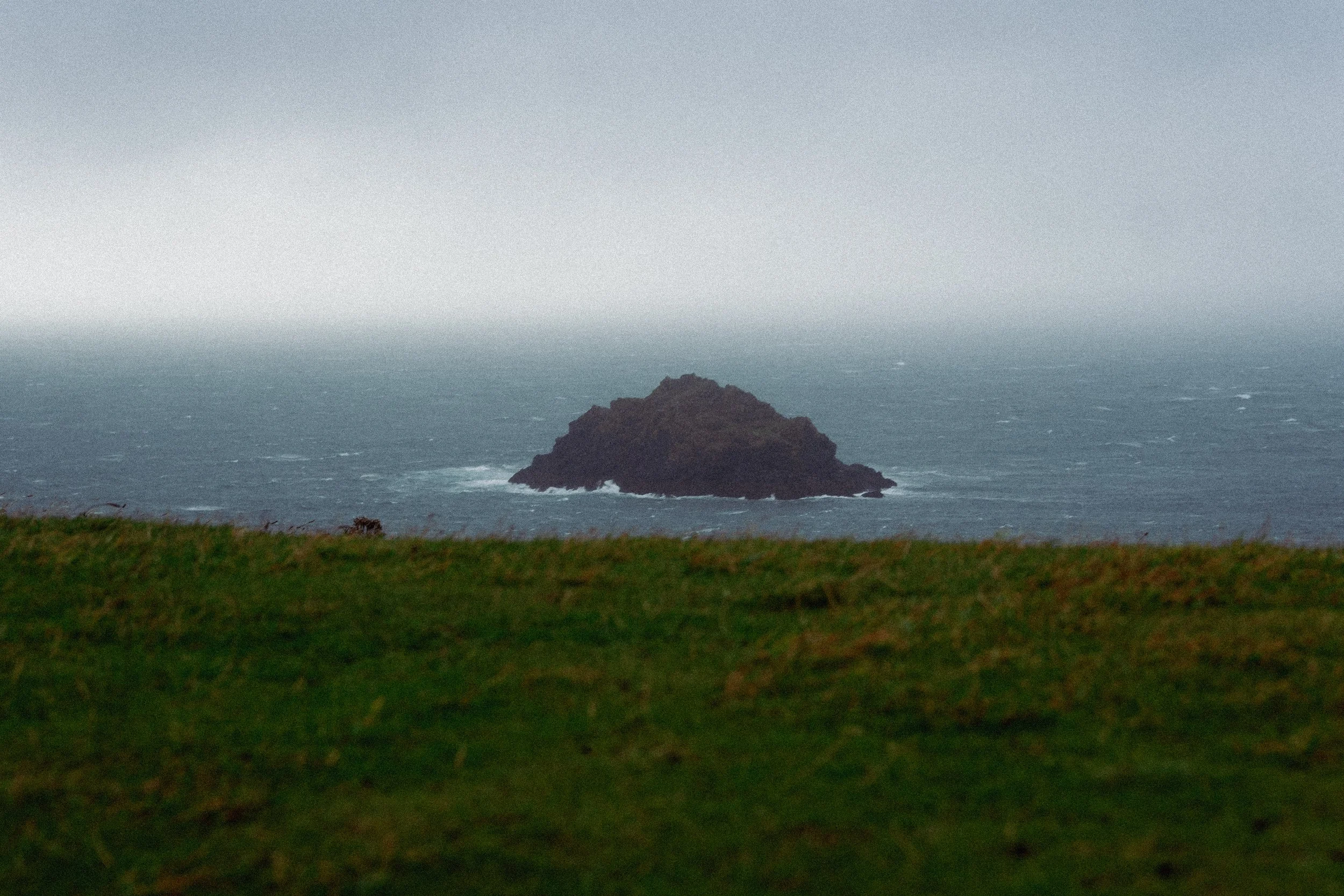 _DSC6456.jpg