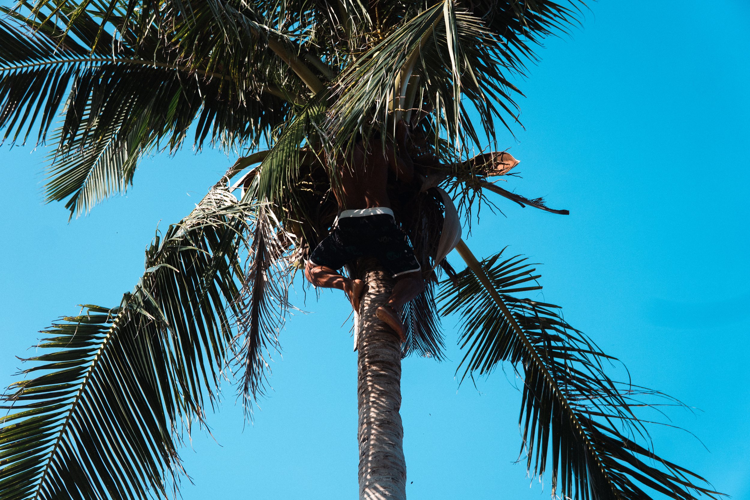 _DSC1233.jpeg