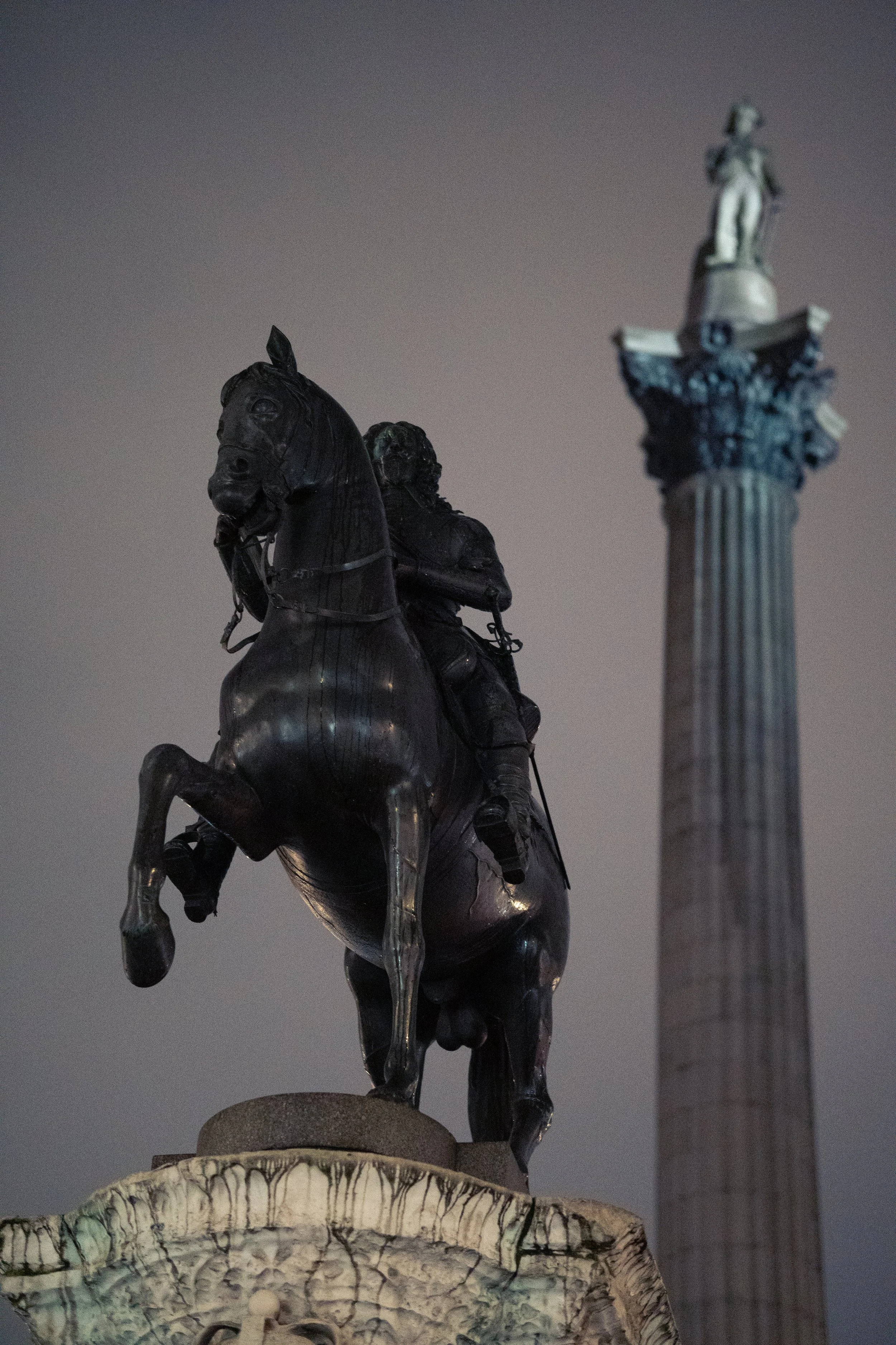 _DSC1335.jpeg