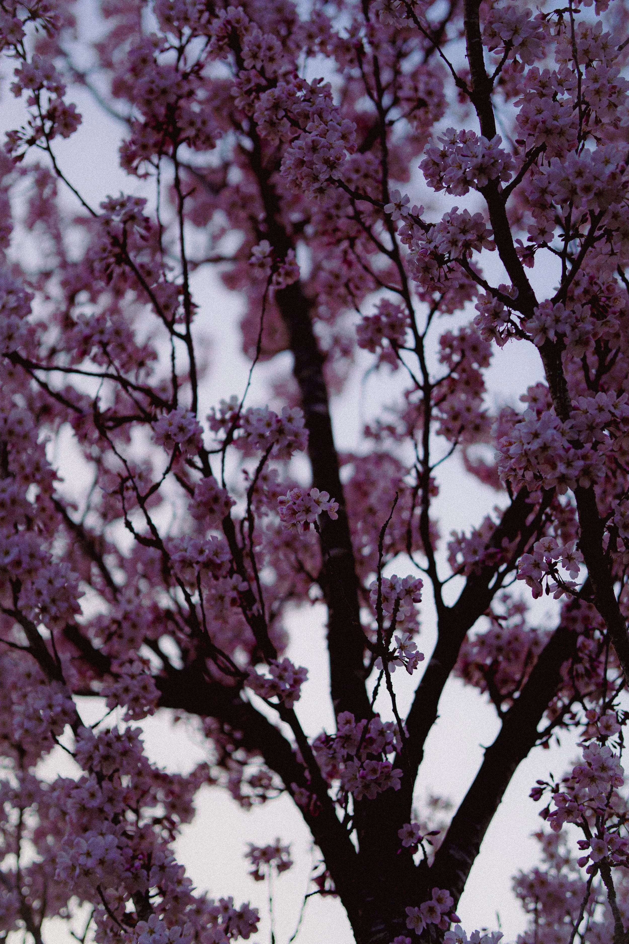 _DSC2777.jpeg