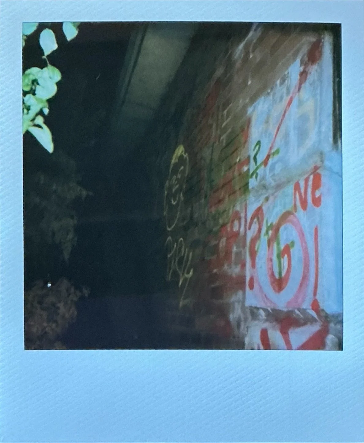 IMG_1263.jpeg