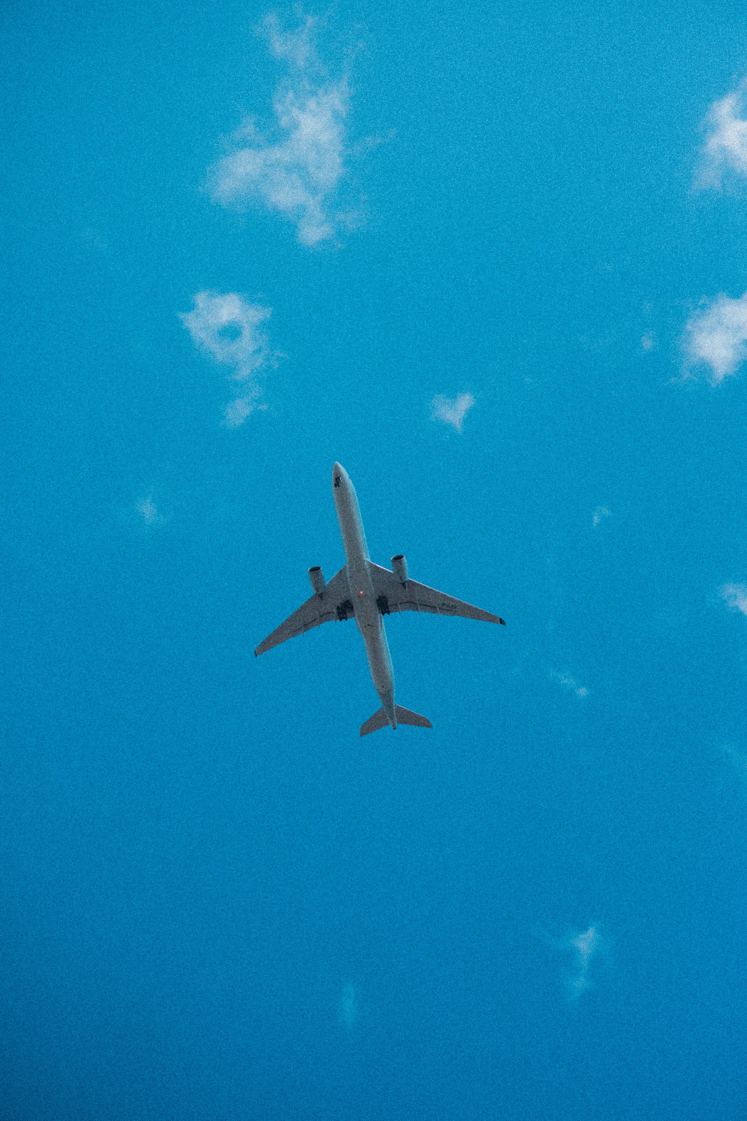_DSC3973.jpeg