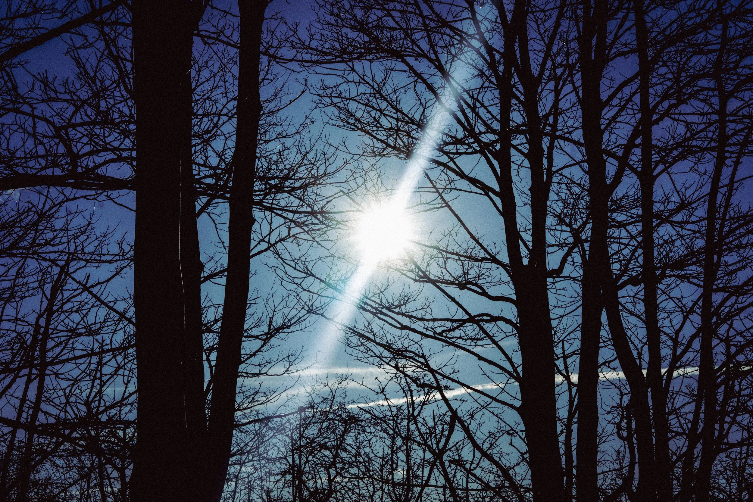 _DSC7846.jpeg