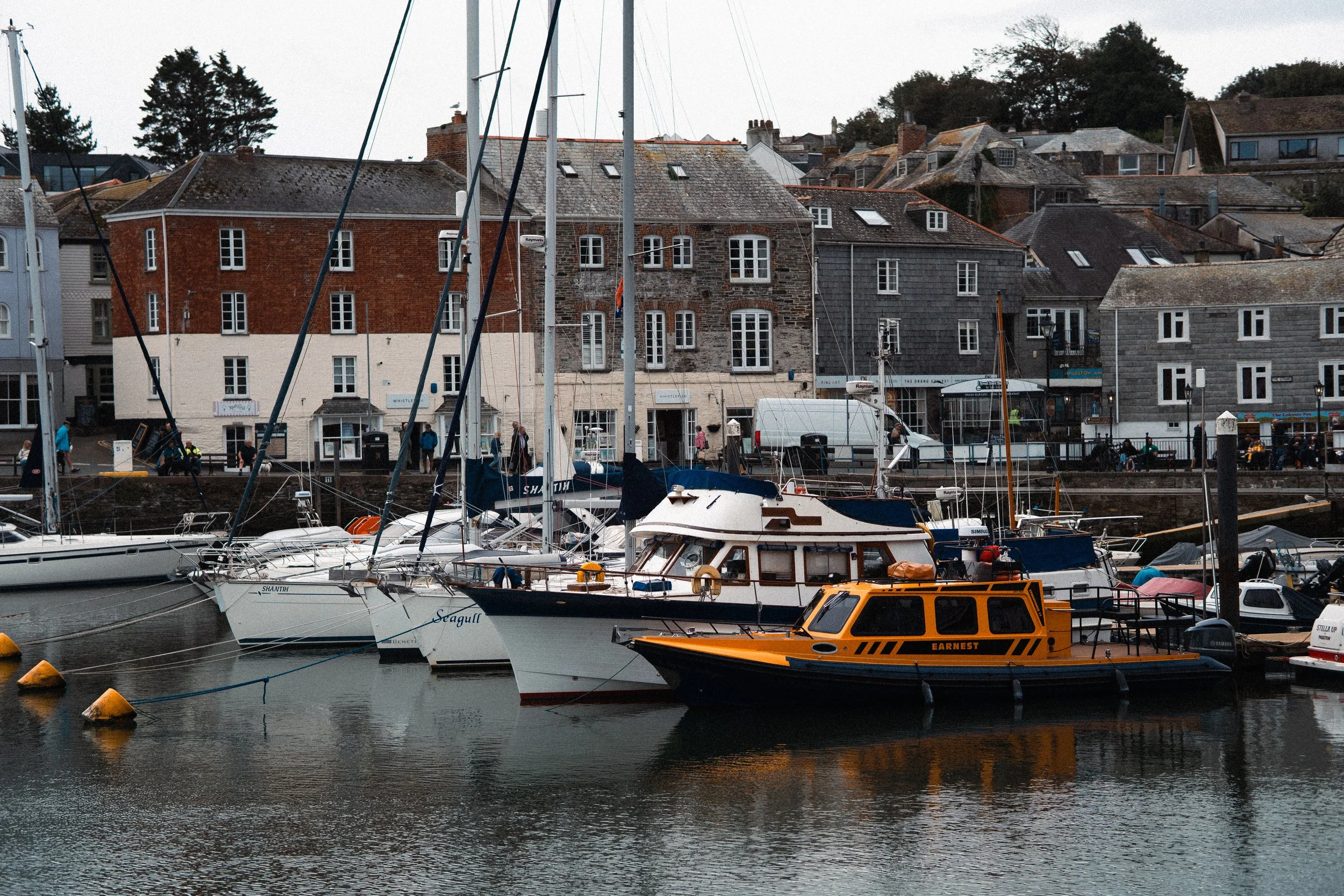 _DSC6536.jpeg