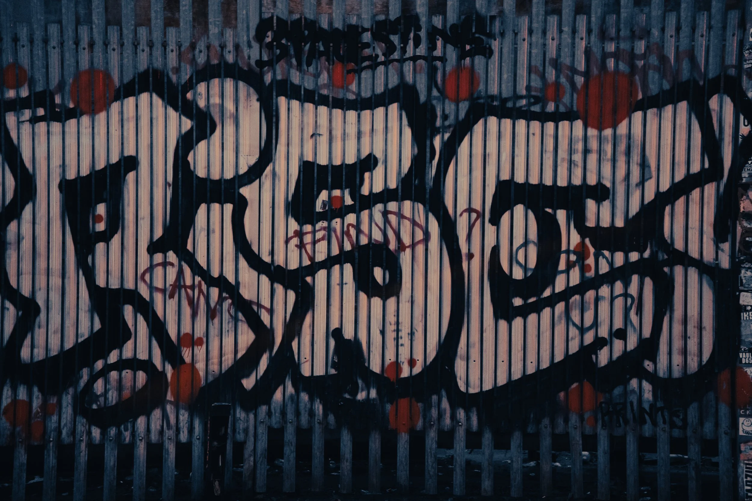 _DSC1264.jpeg
