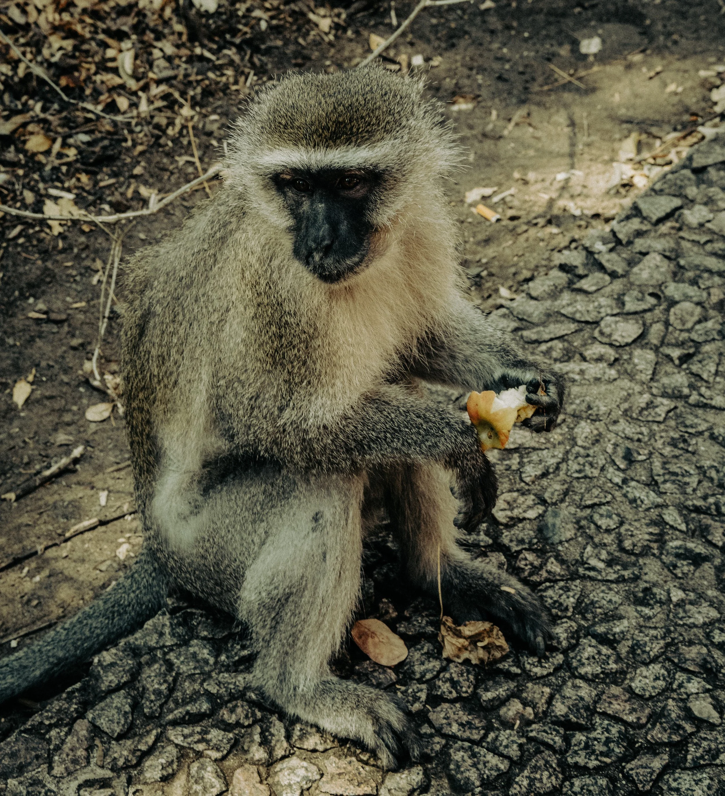 _DSC5325.jpeg