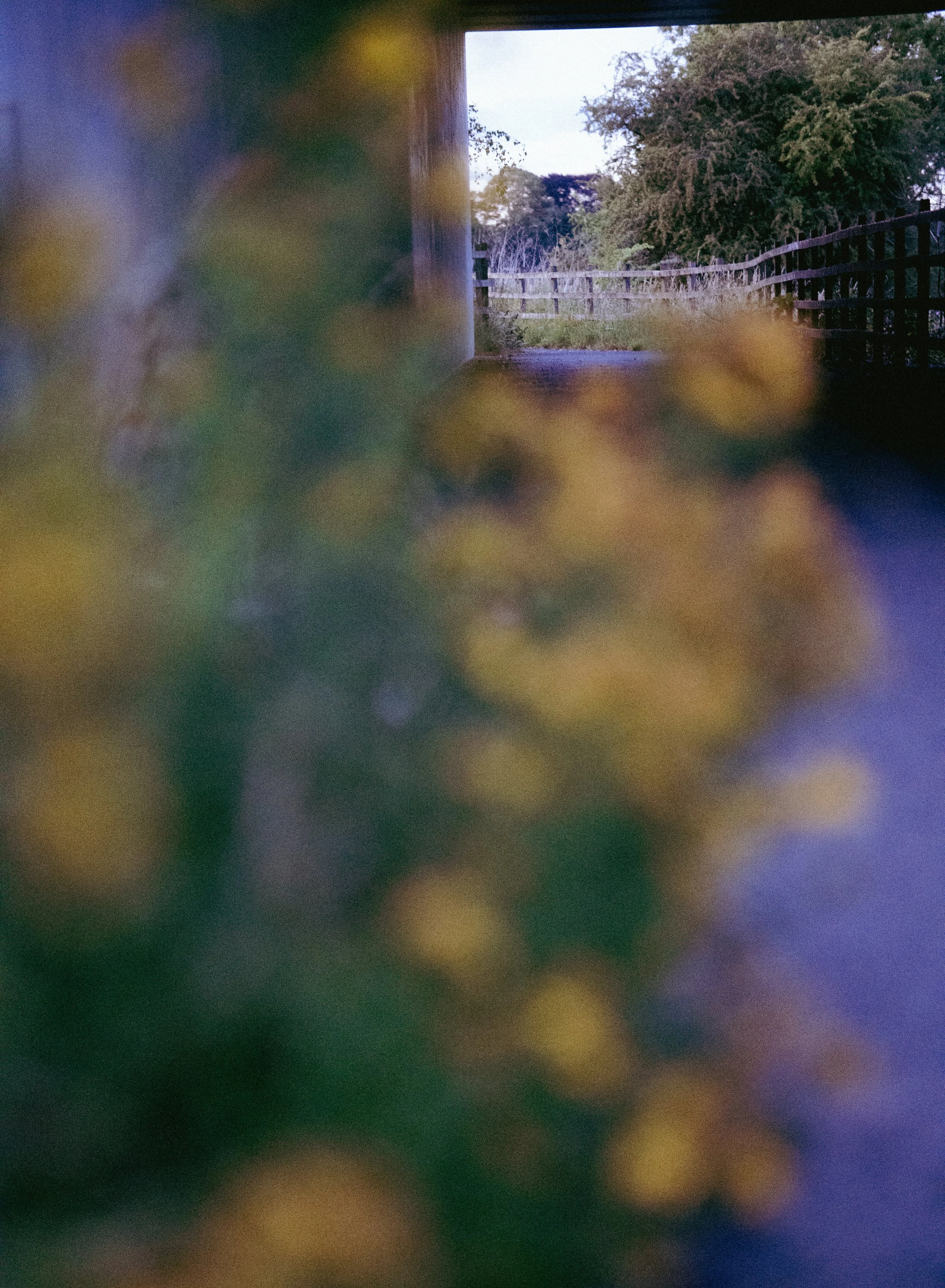 _DSC5873.jpeg