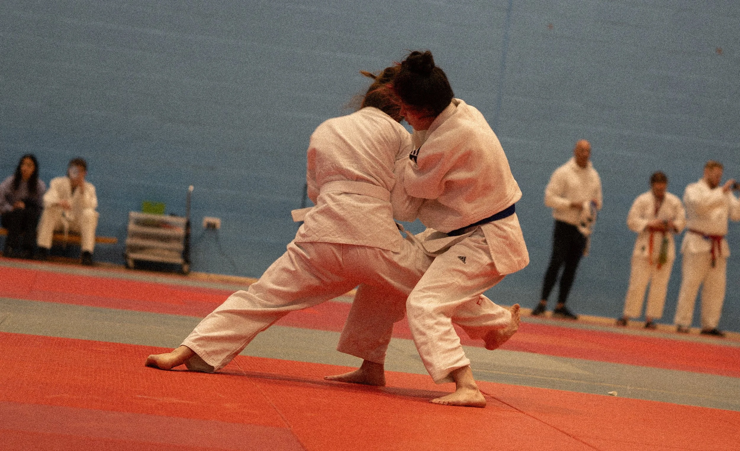 _DSC9355.jpg