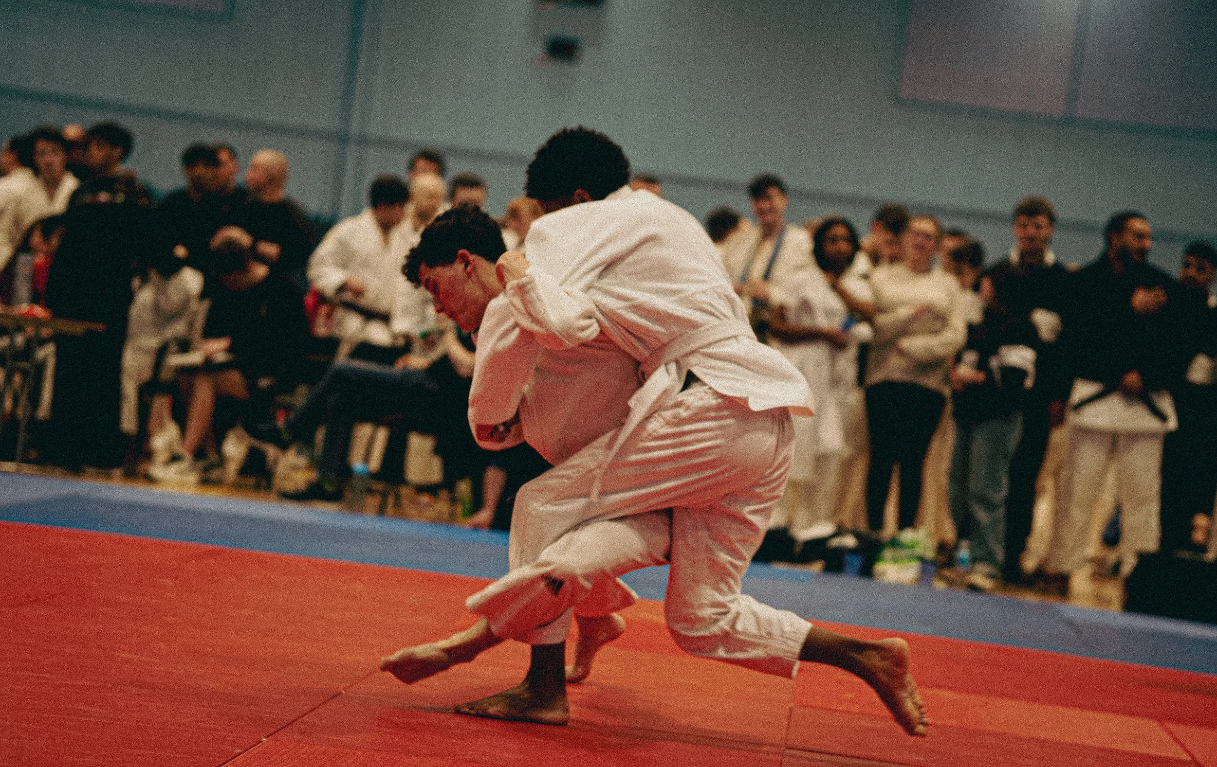_DSC8950.jpeg