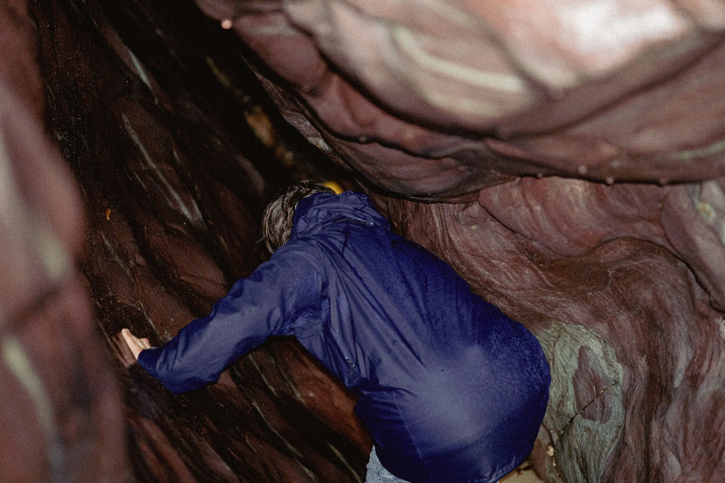 _DSC6434.jpeg