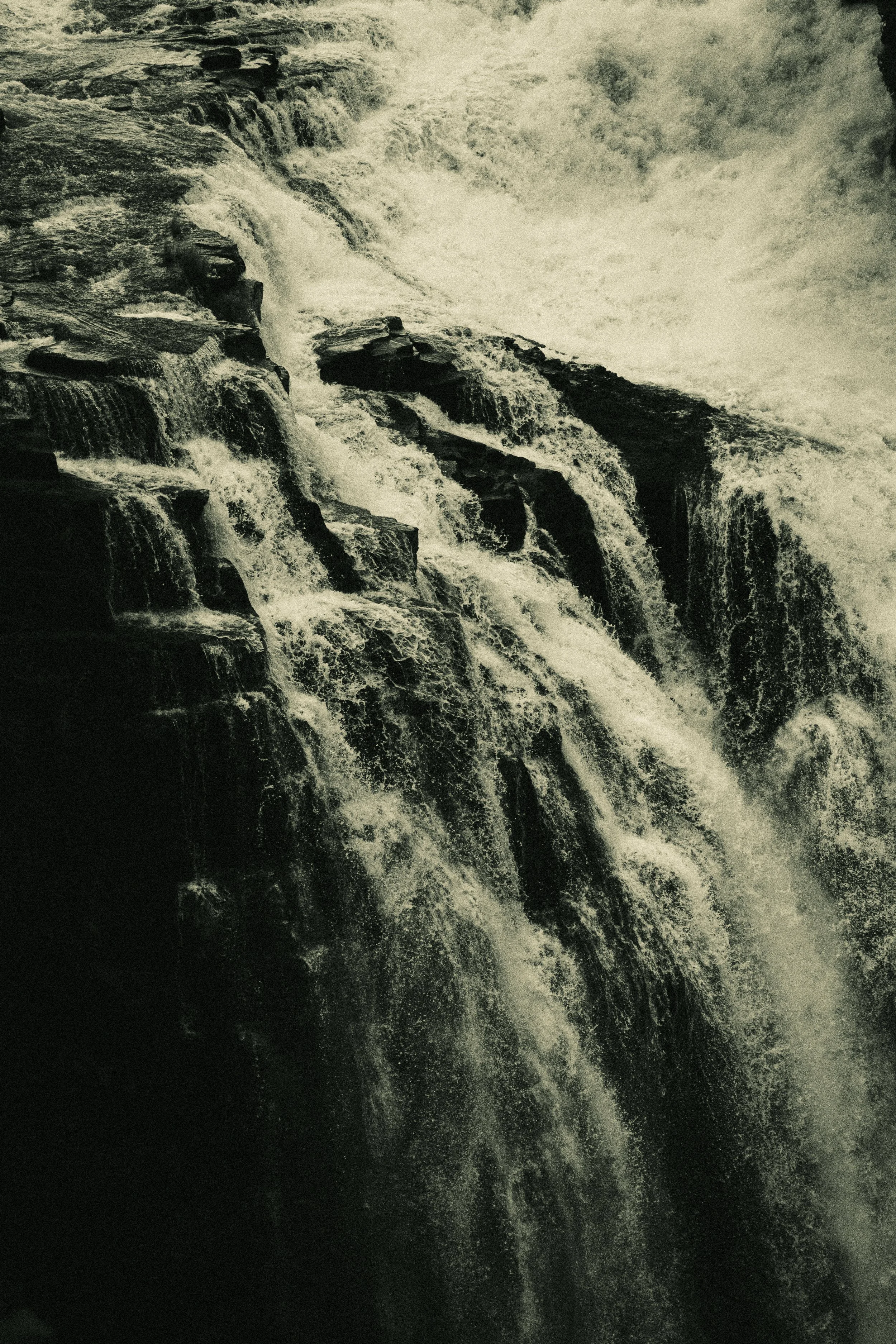 _DSC7708.jpeg