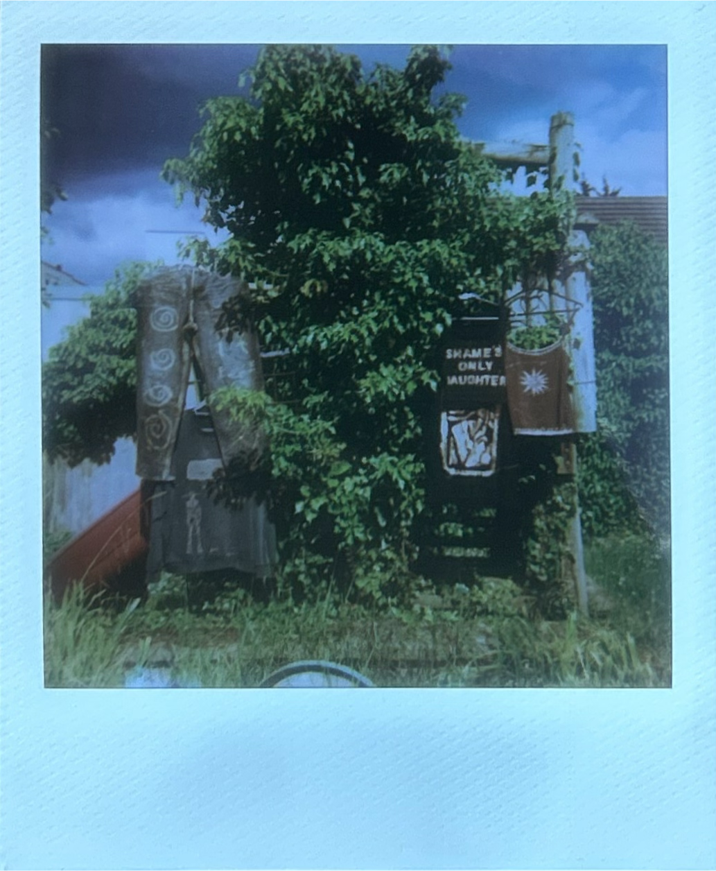 Polaroid 5.png