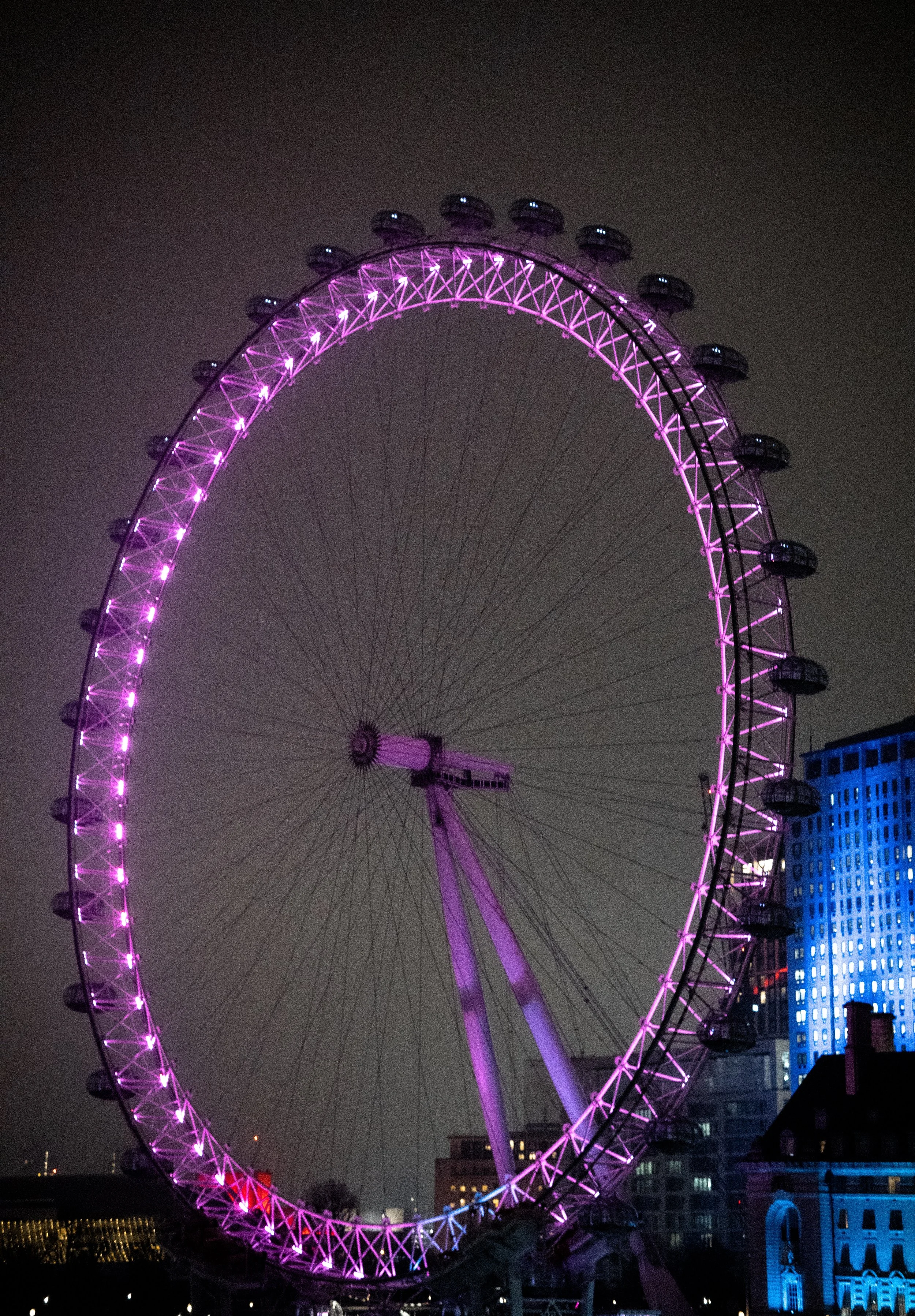 _DSC1372.jpeg