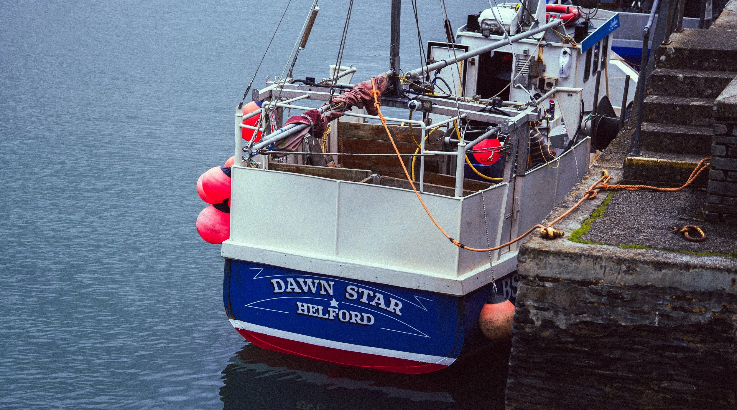 _DSC6658.jpg