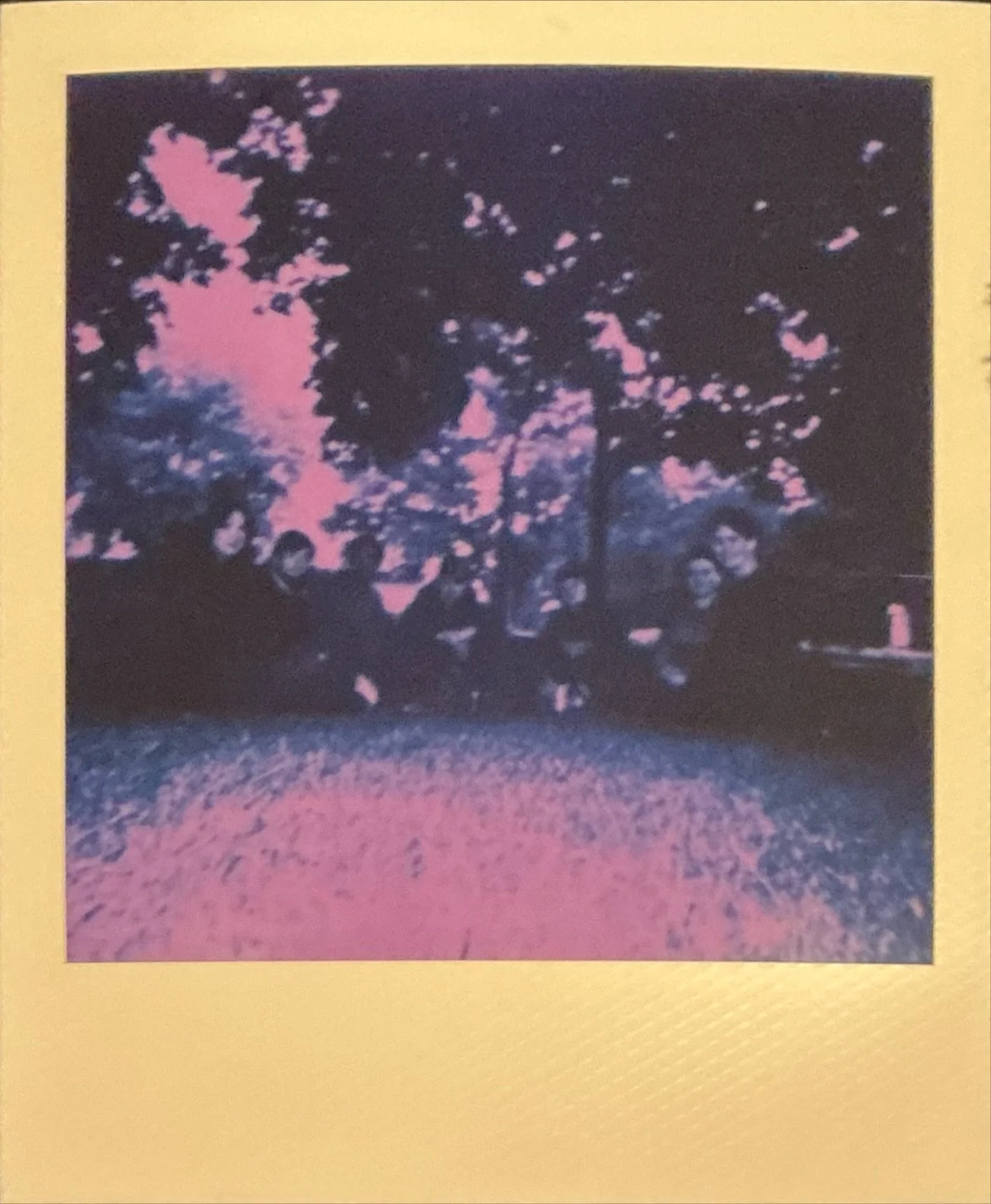 IMG_1260.jpeg