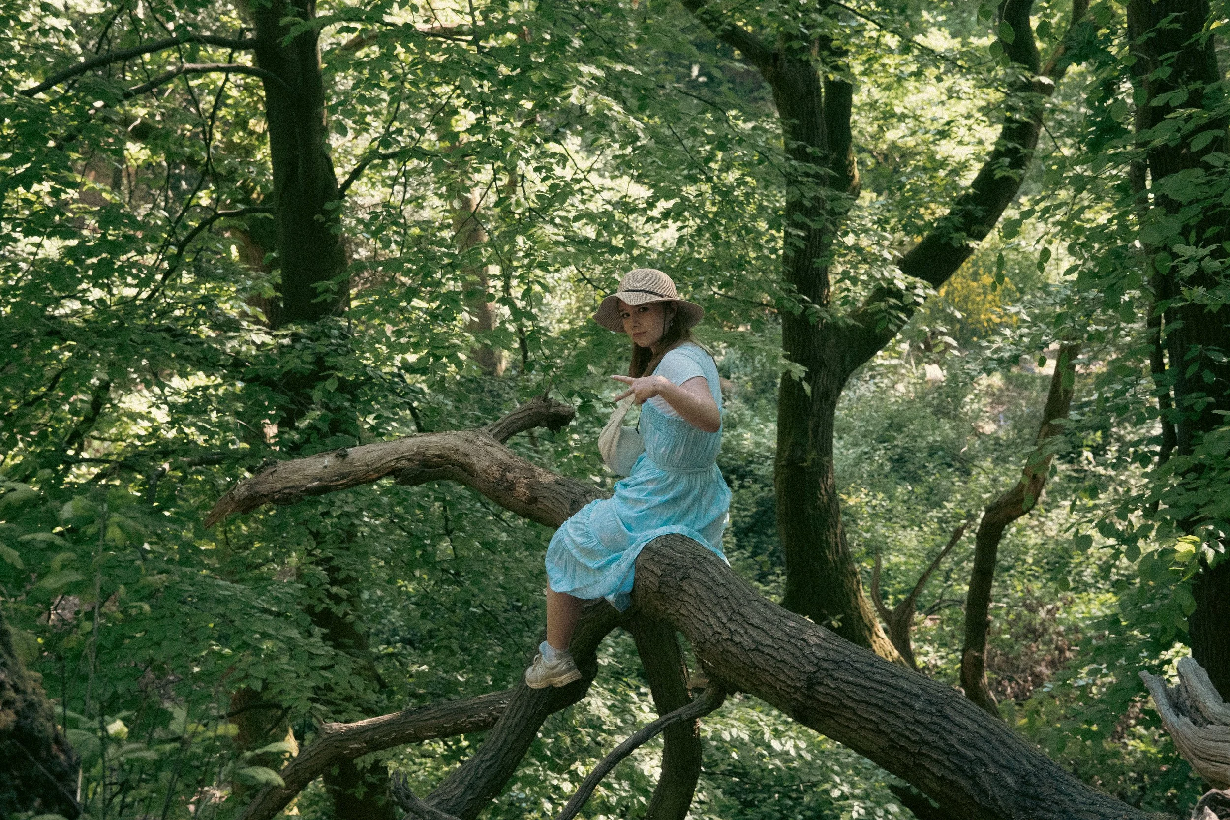 _DSC3733.jpeg