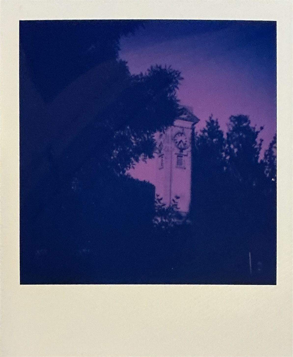 Polaroid 3.png