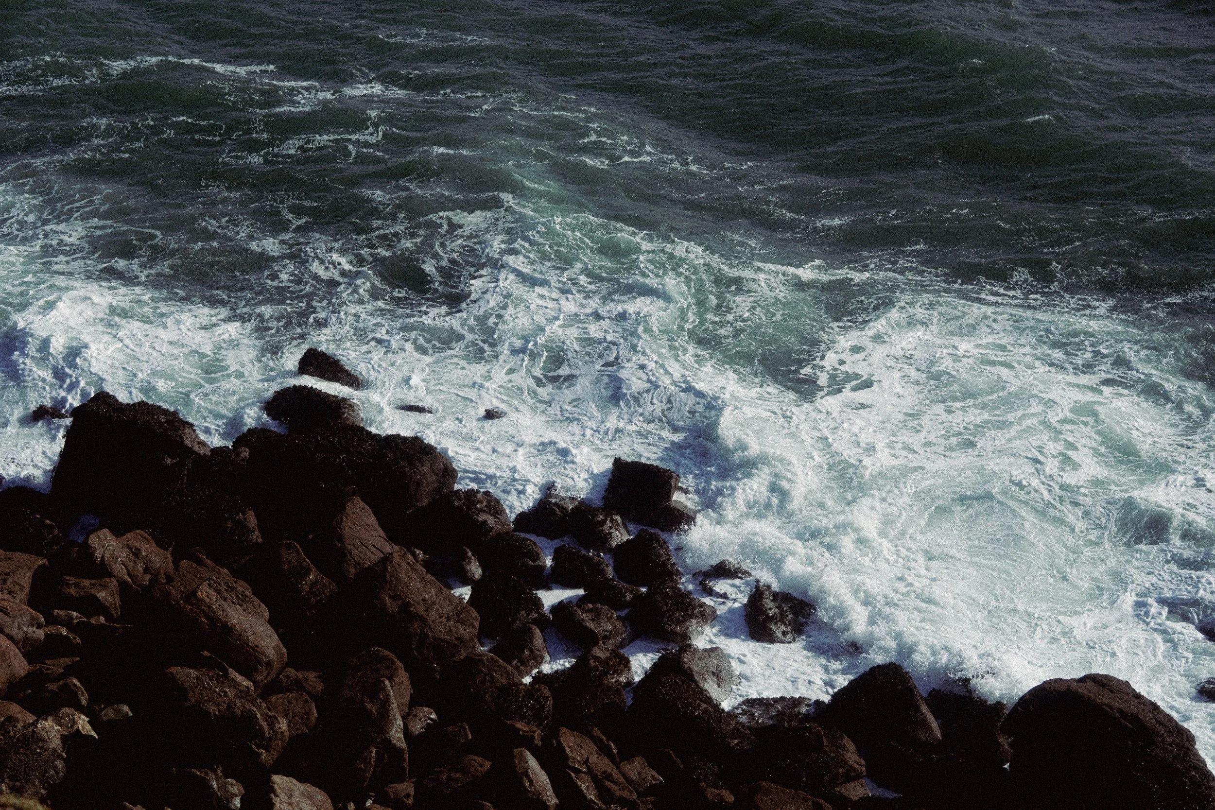 _DSC6469.jpg
