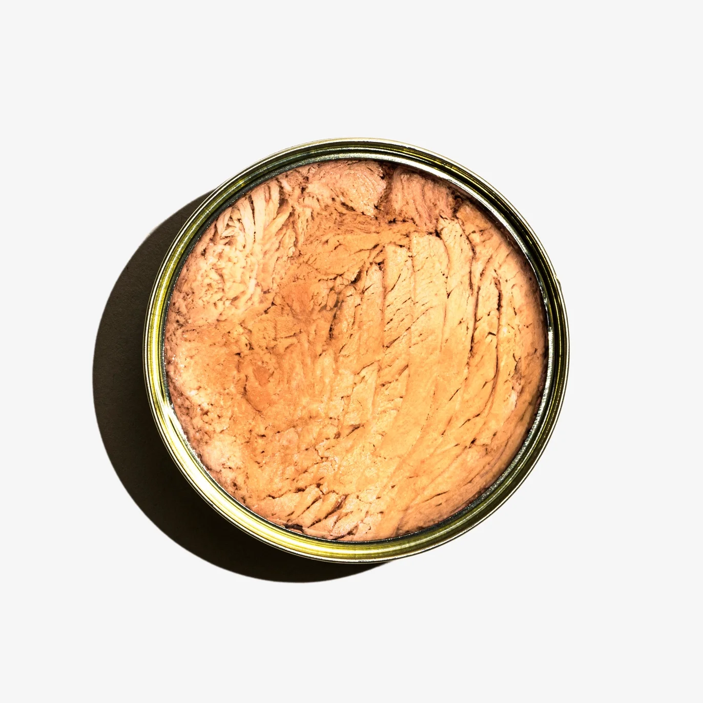 albacore tuna in can.webp