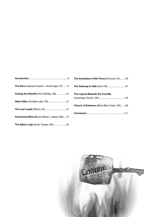 campfire 3.webp