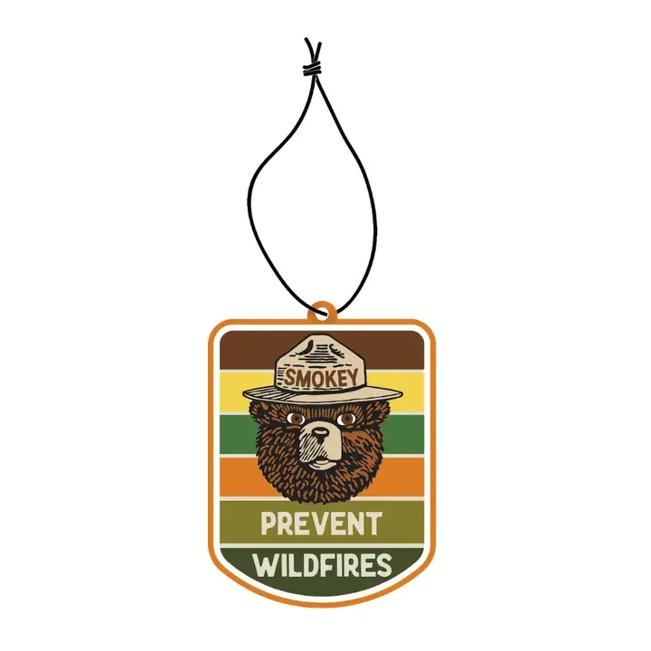 smoky bear 2.webp
