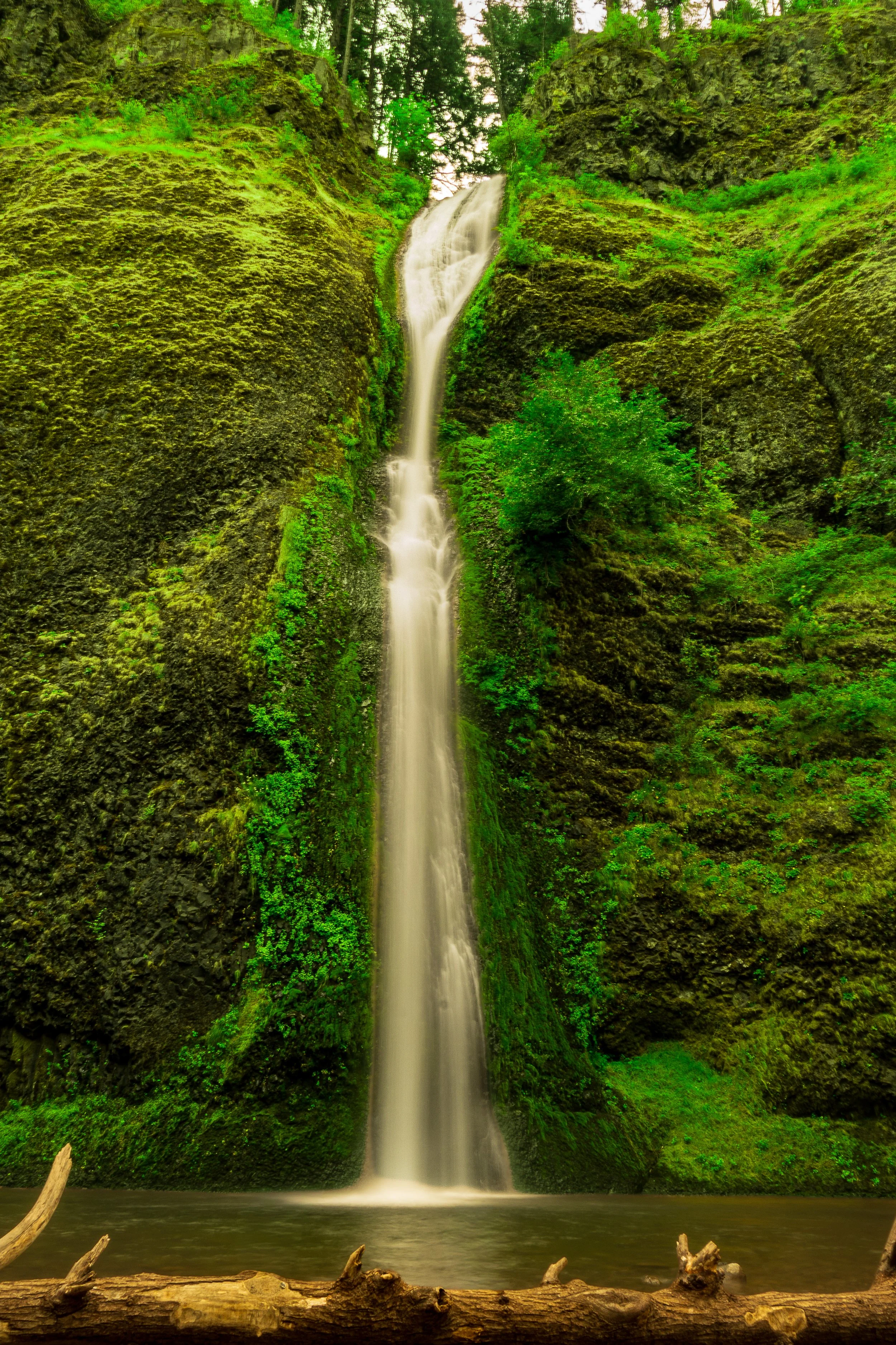 Nature