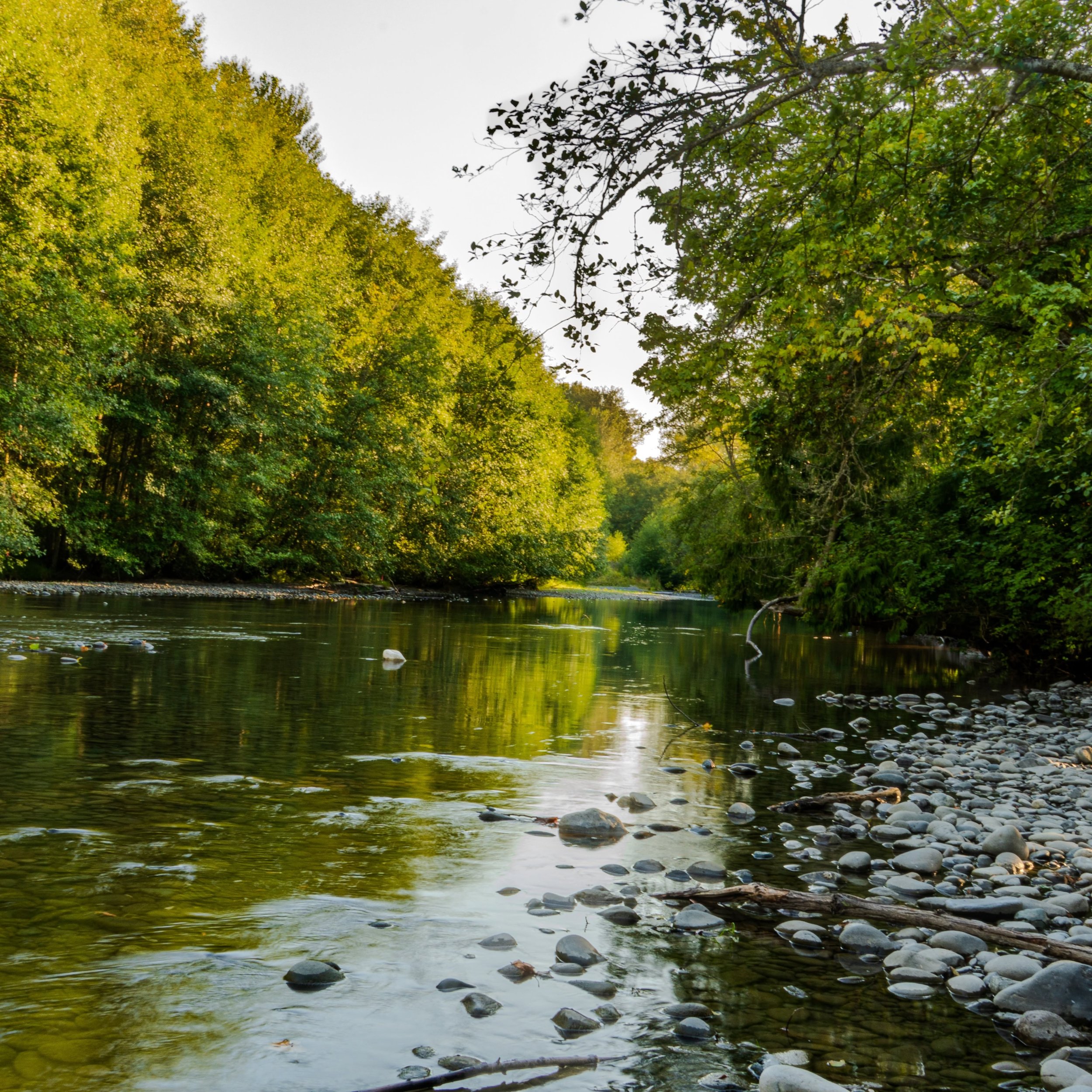 Peaceful River.jpg
