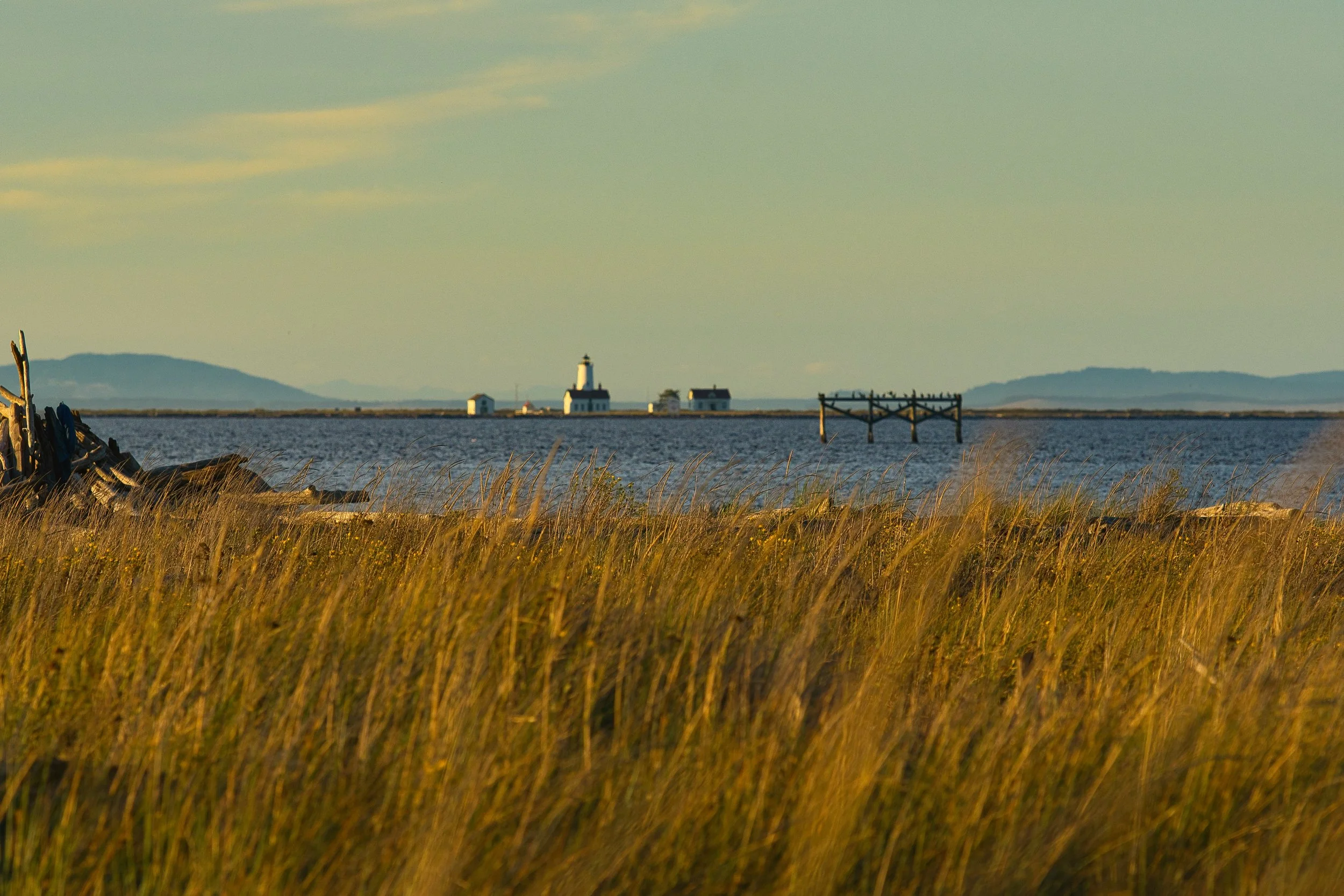 Sunset over the Dungeness Light.jpg