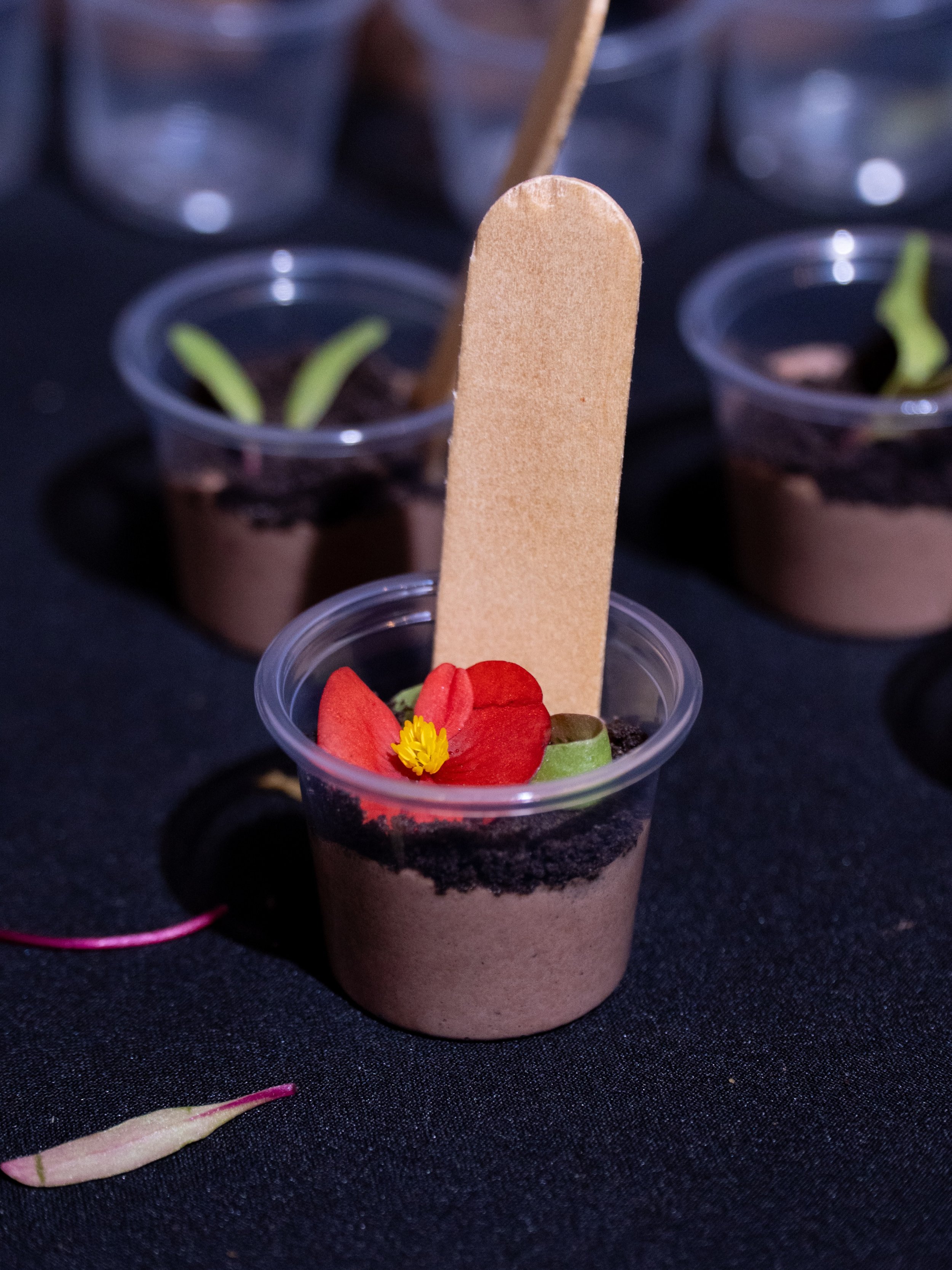 Sembrando postres 🌱

En RV Catering cada detalle est&aacute; pensado para sorprender: texturas, presentaci&oacute;n, montaje y ese momento en el que los invitados se acercan a preguntar: &ldquo;&iquest;esto tambi&eacute;n se come?&rdquo;

Catering c