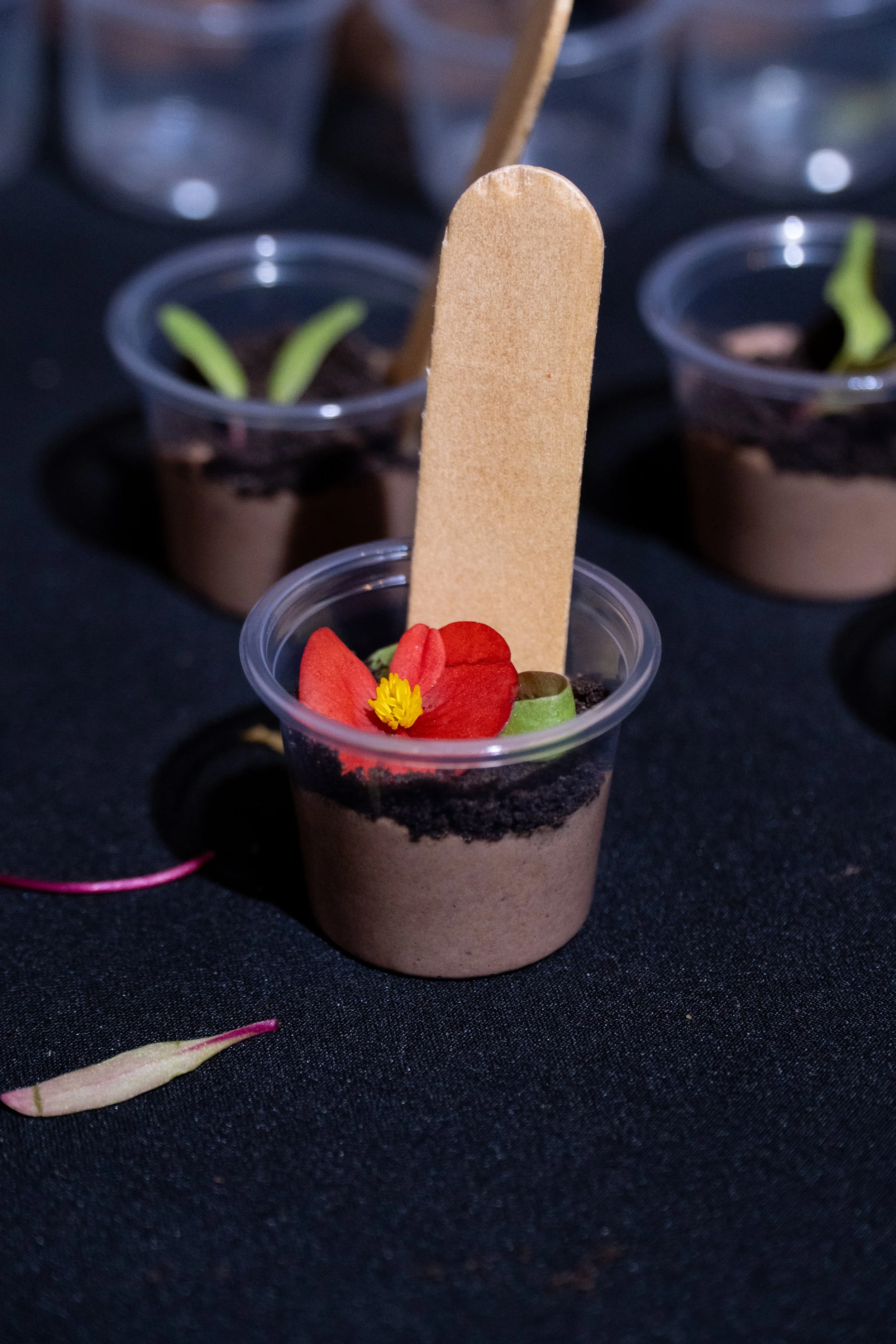 Sembrando postres para la ceremonia de ingreso de Alejandro González Iñárritu a El Colegio Nacional el 26 de mayo de 2026.