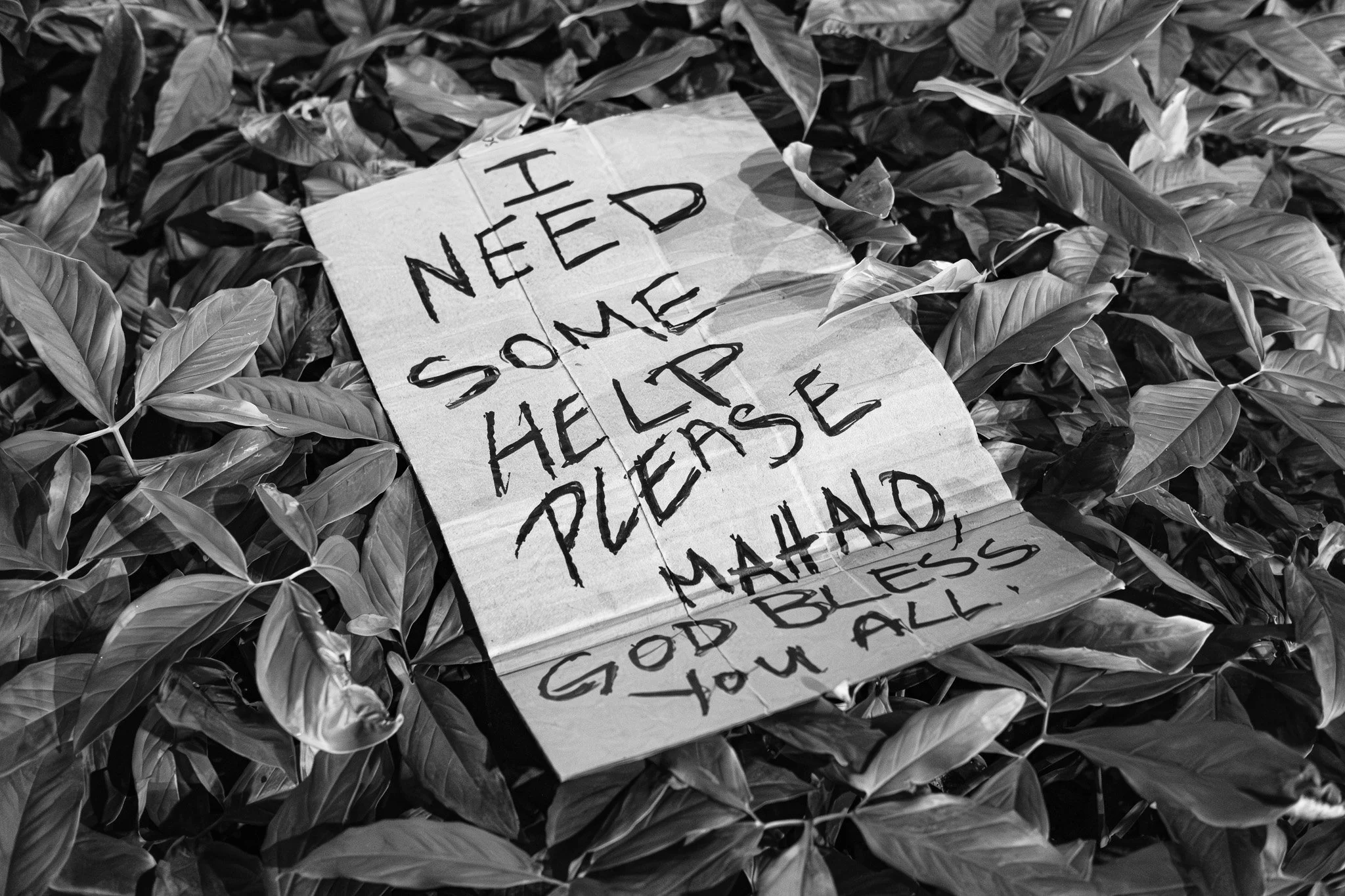 A handwritten sign placed among fallen leaves that reads 'I NEED SOME HELP PLEASE MAHALO GOD BLESS YOU ALL'.