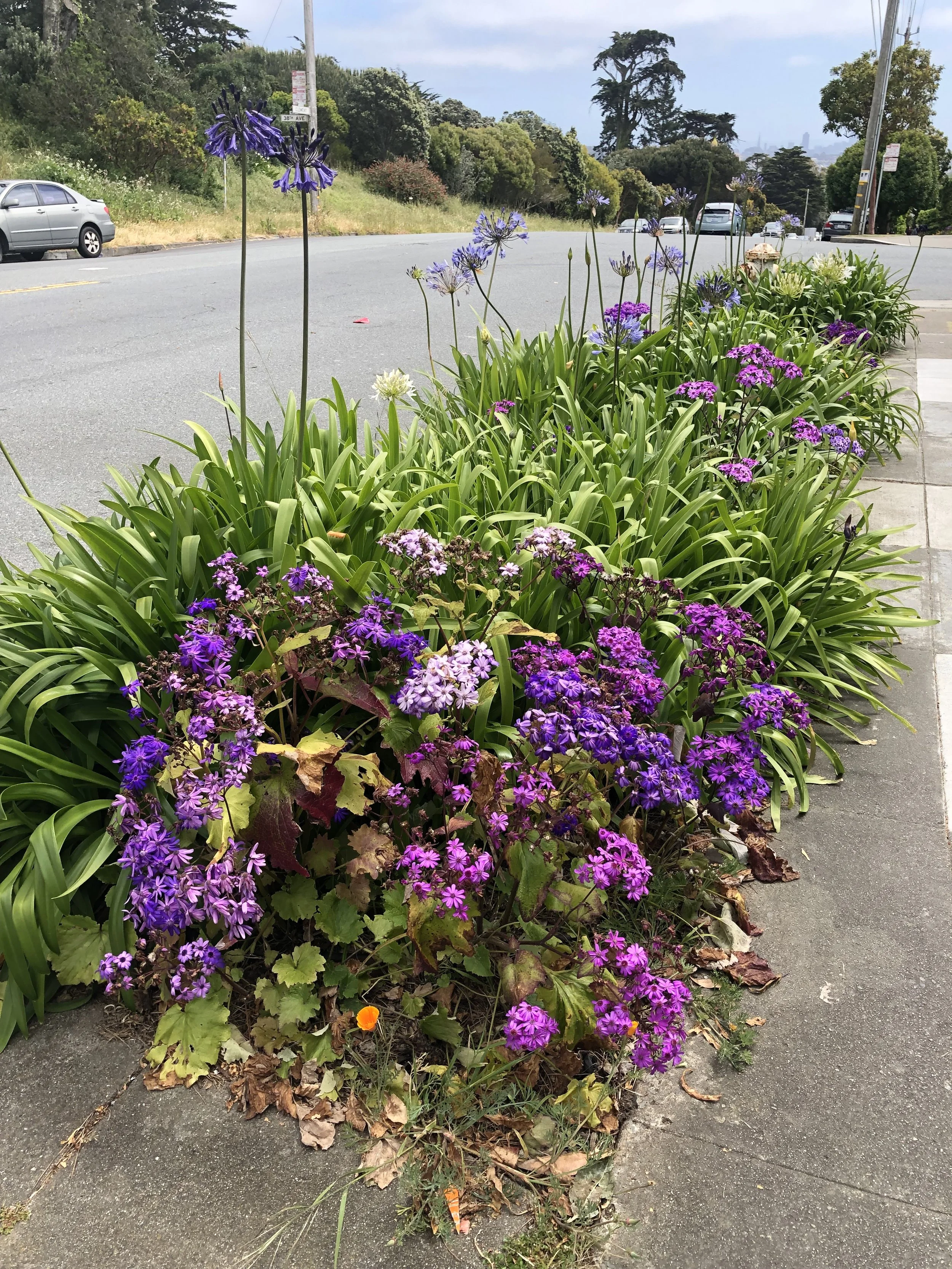 IMG_0775.jpeg