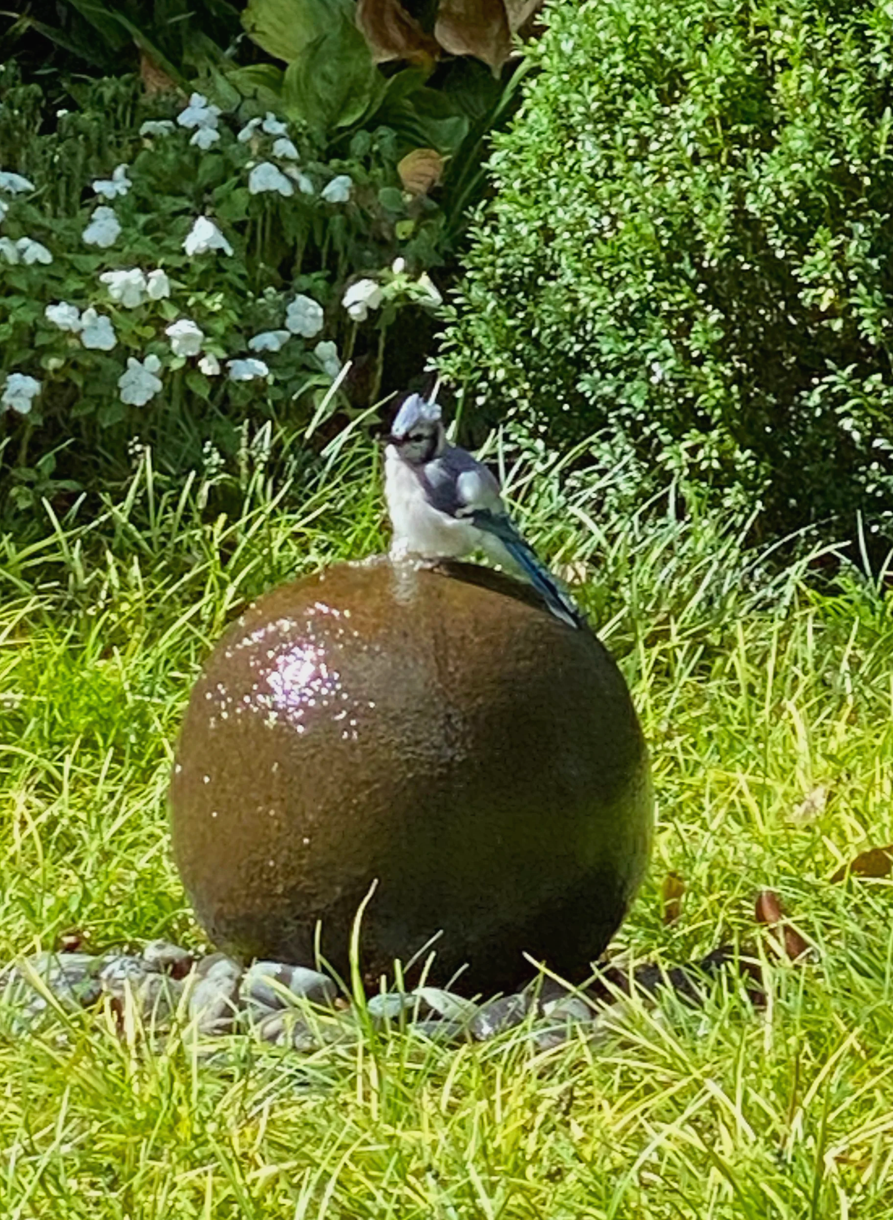 IMG_5441.png