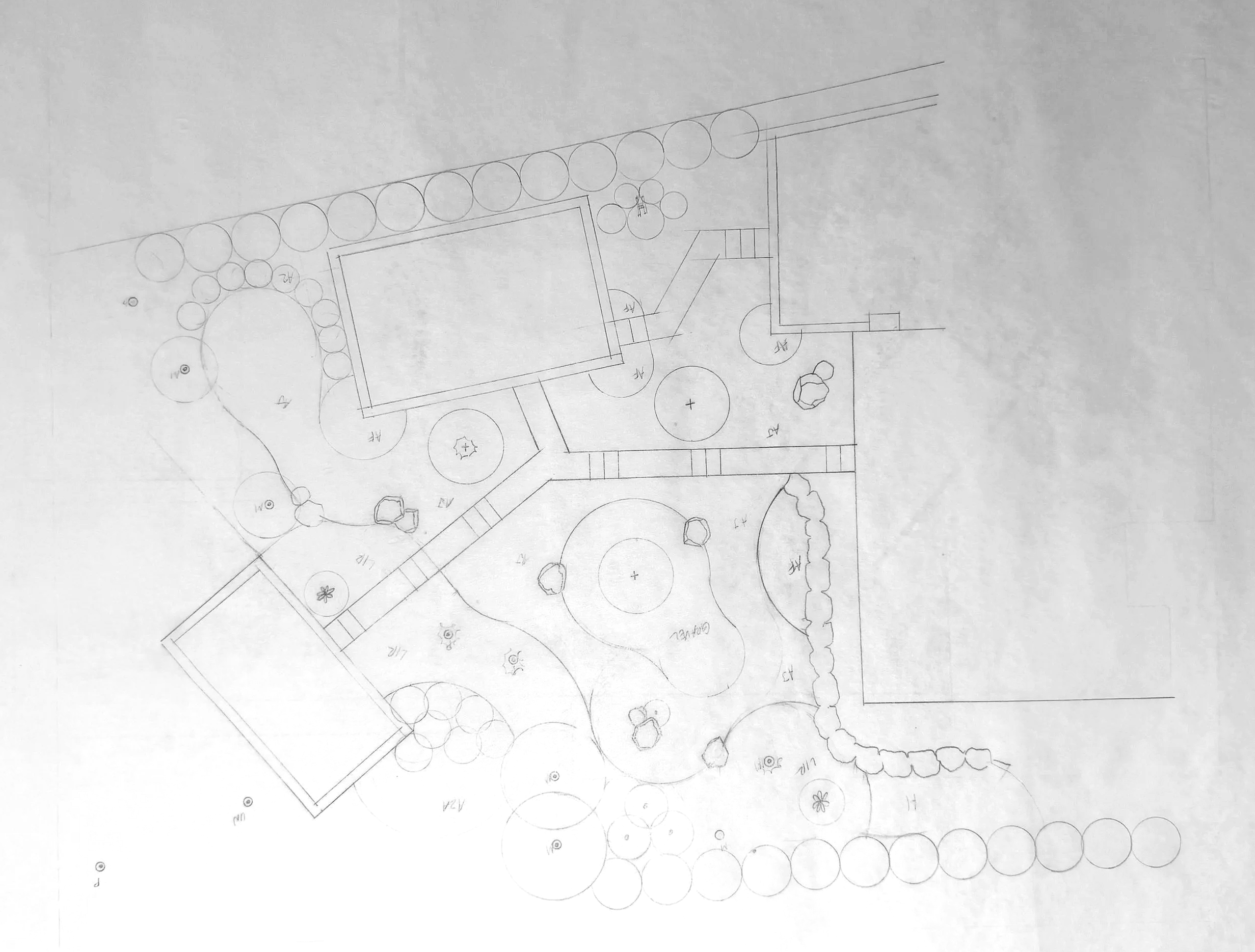 IMG_1503.png