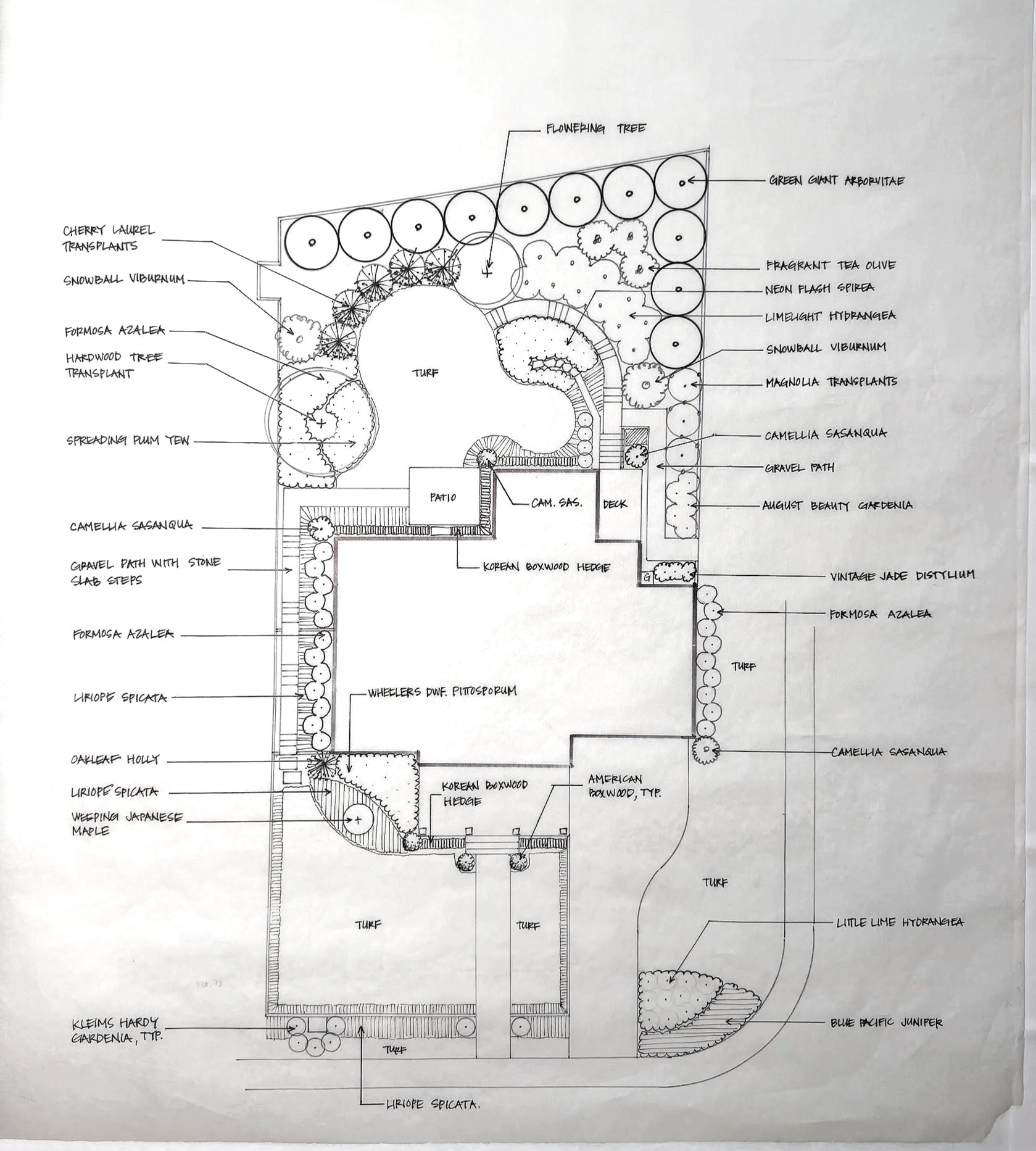 IMG_1515.png