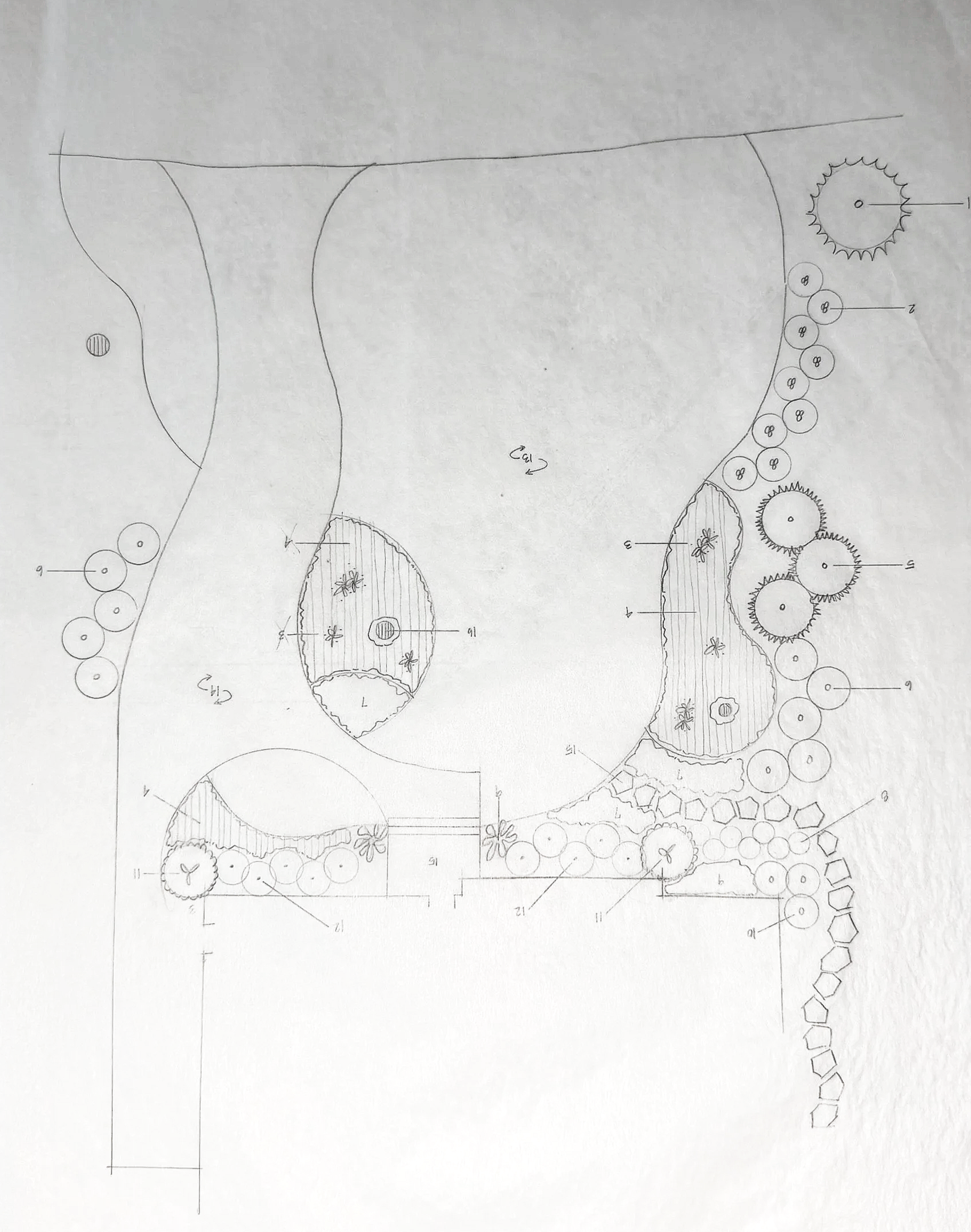 IMG_1541+2.png