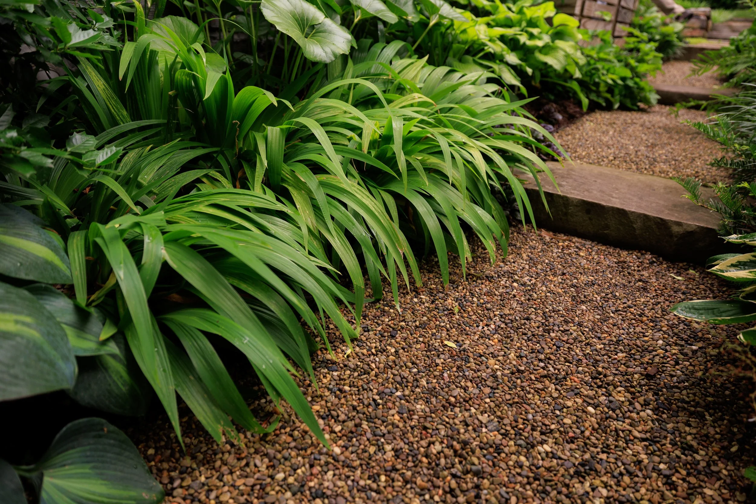 Landscaping_06122025_mb-91.jpg