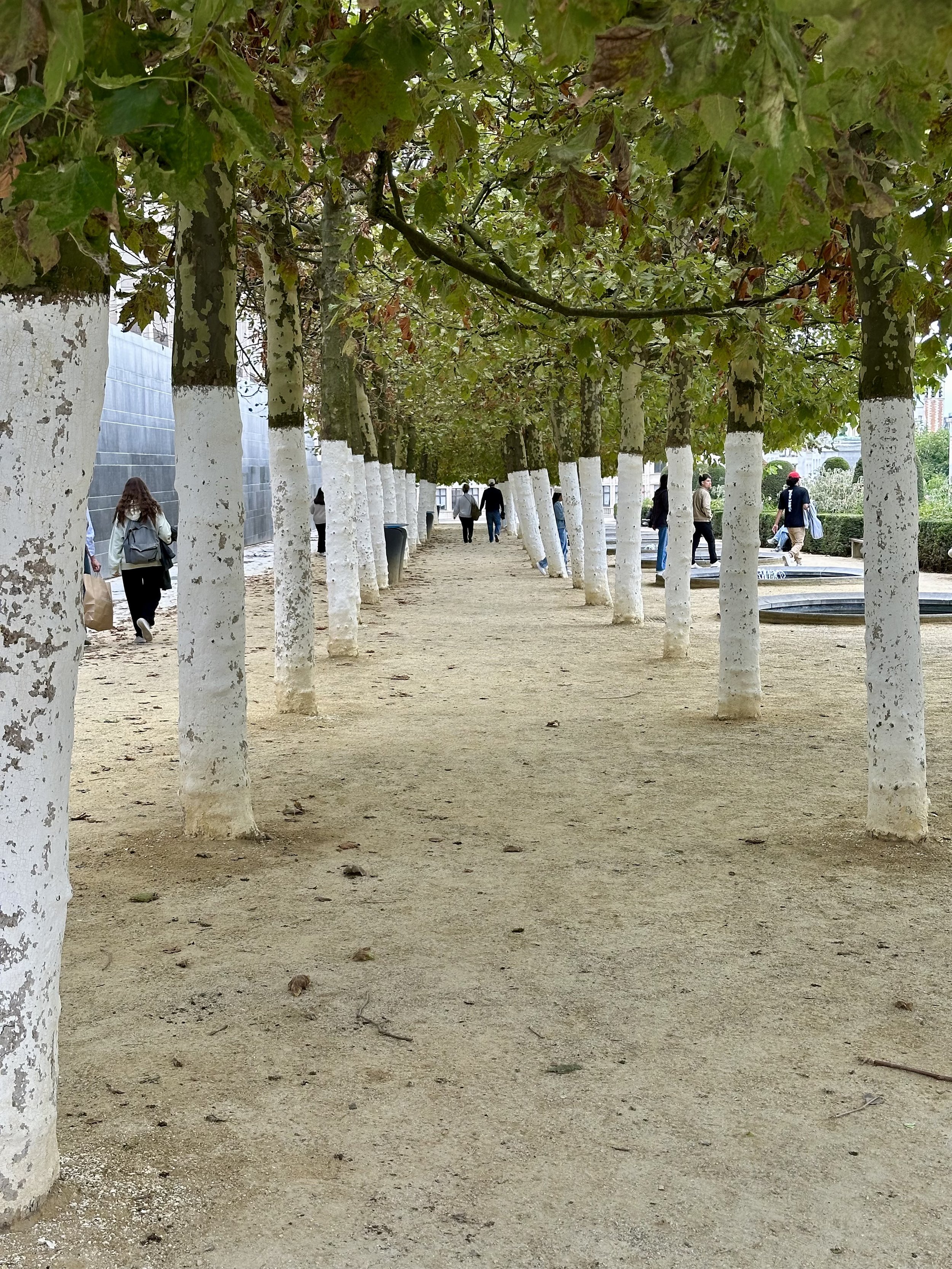 IMG_3345 2.jpeg
