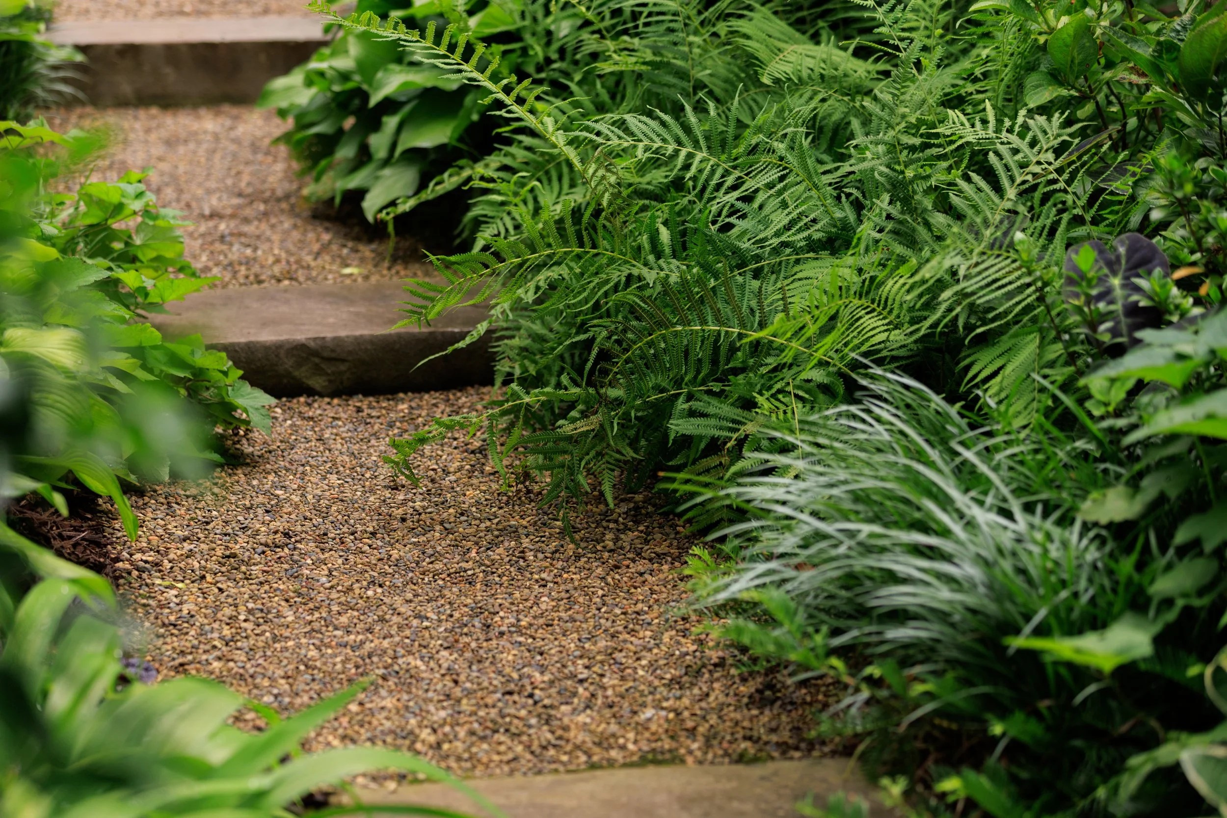 Landscaping_06122025_mb-116.jpg