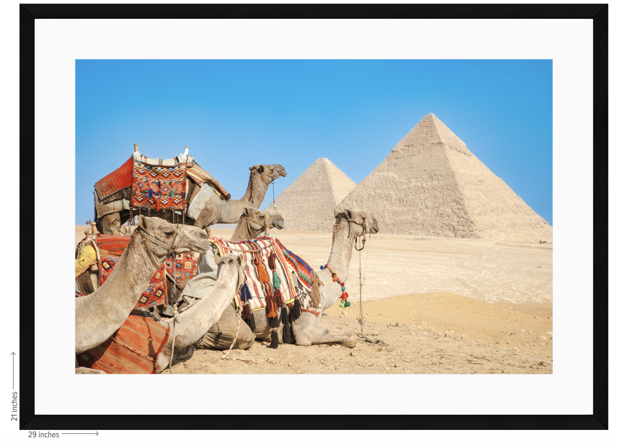 egypt camel black frame with white mat.png