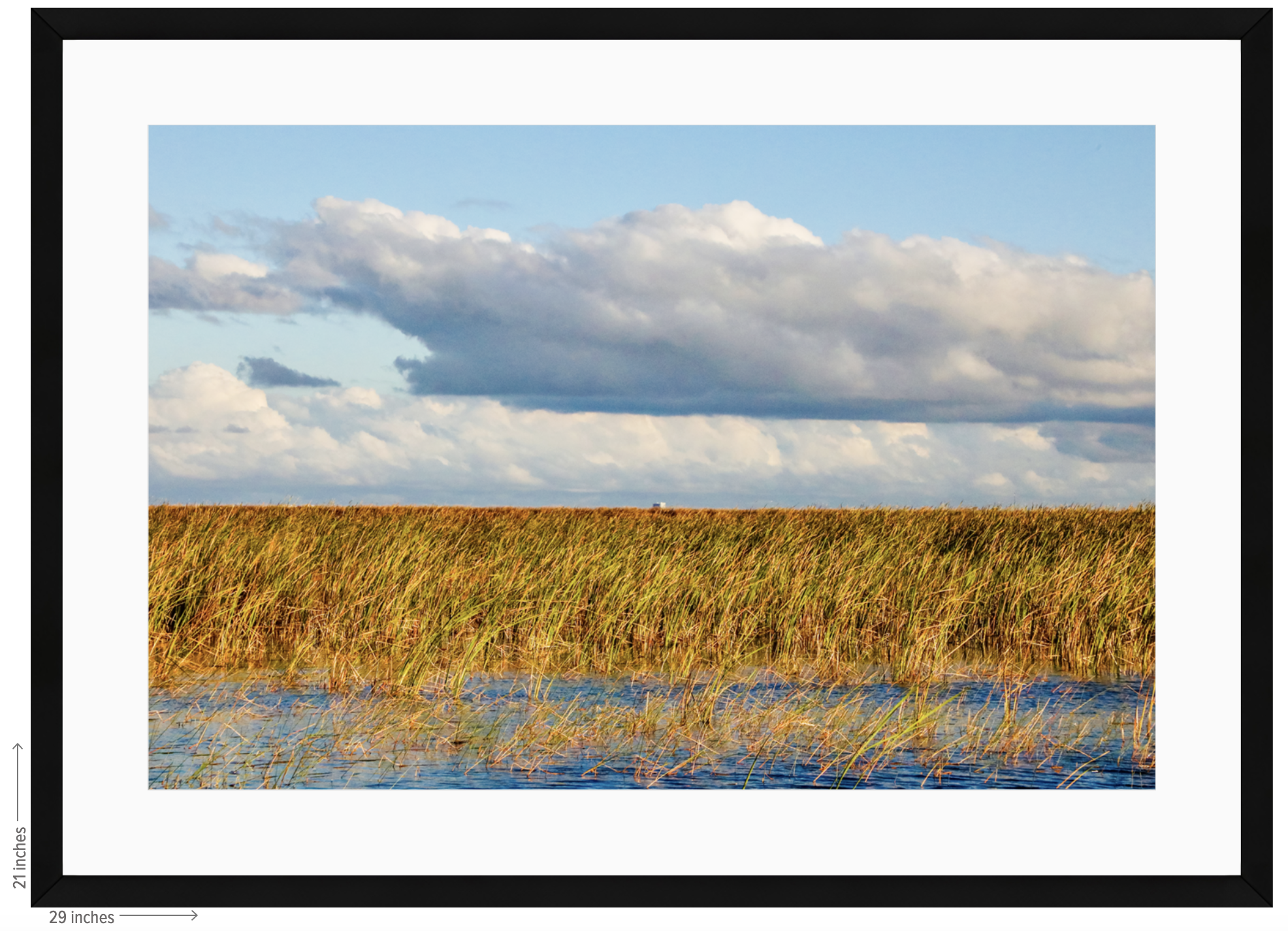 wetland black frame with mat.png