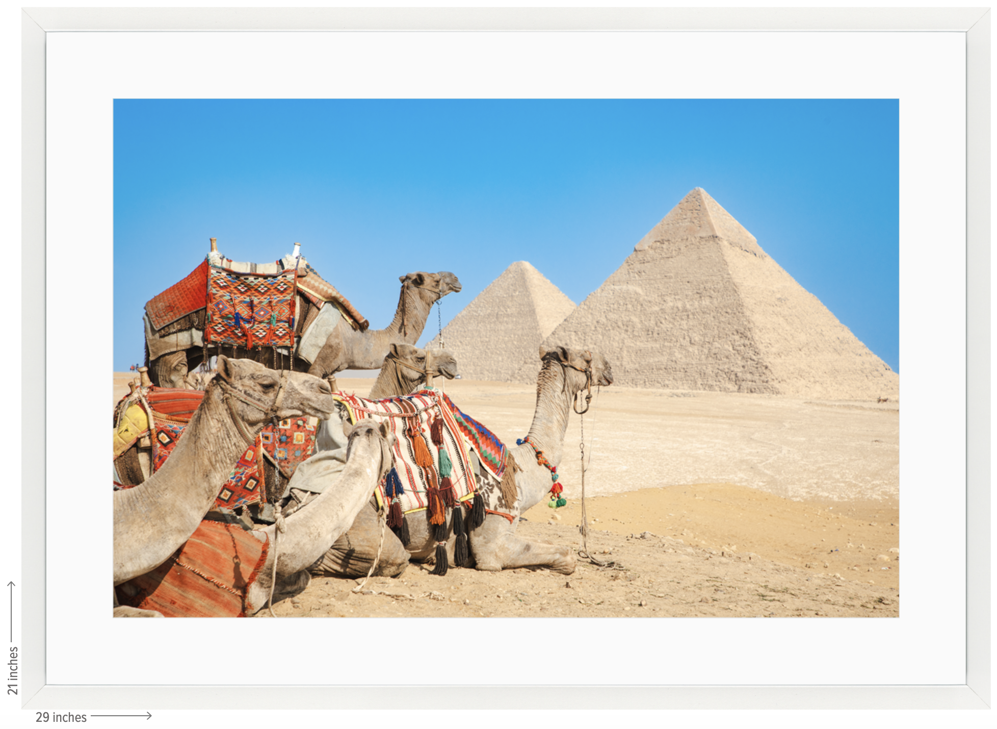 egypt camel white frame with mat.png